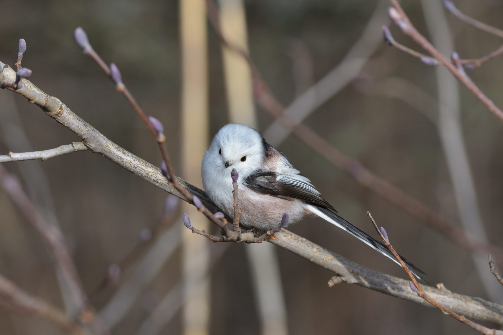 Valokuvaaja: Asko Heikkinen