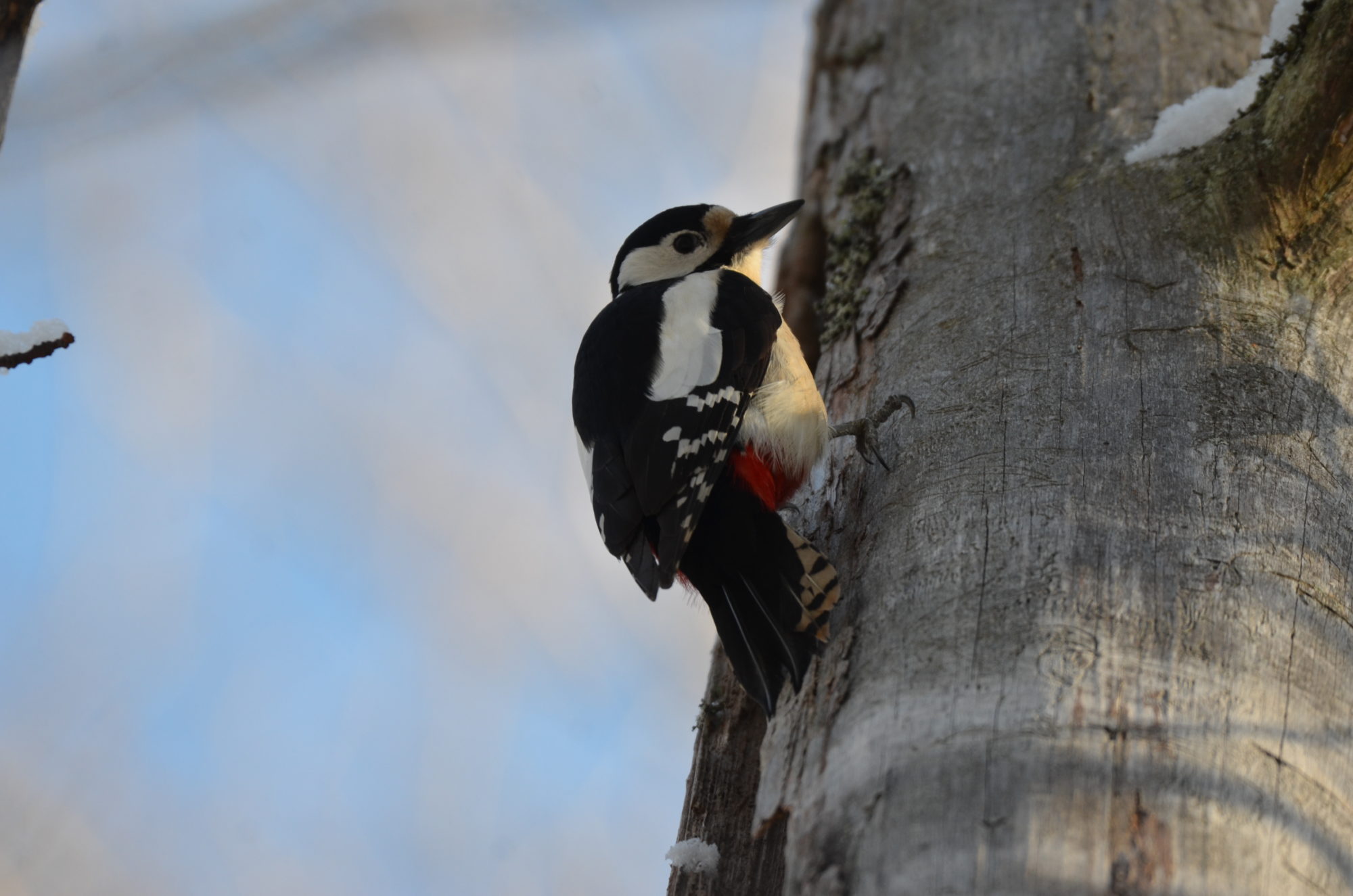 Valokuvaaja: Elisabet Varonen Valokuvaaja: Elisabet Varonen