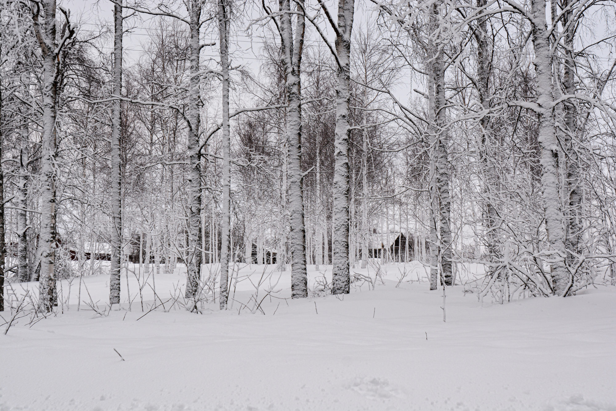 Valokuvaaja: Maija Savolainen Valokuvaaja: Maija Savolainen