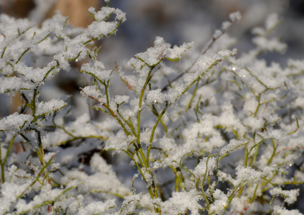 Valokuvaaja: Elisabet Varonen Valokuvaaja: Elisabet Varonen