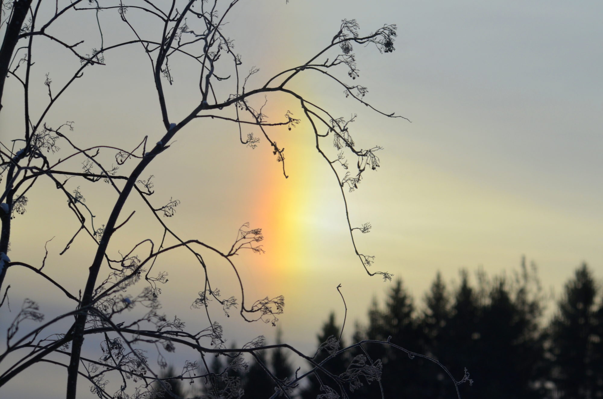 Valokuvaaja: Kaarlo Asikainen Valokuvaaja: Kaarlo Asikainen