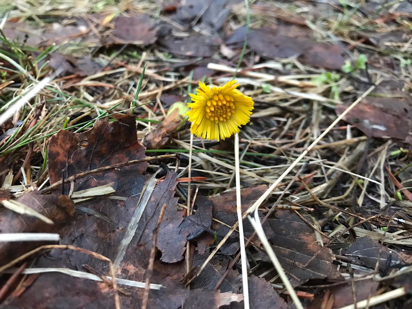 Valokuvaaja: Terhi Nikkola