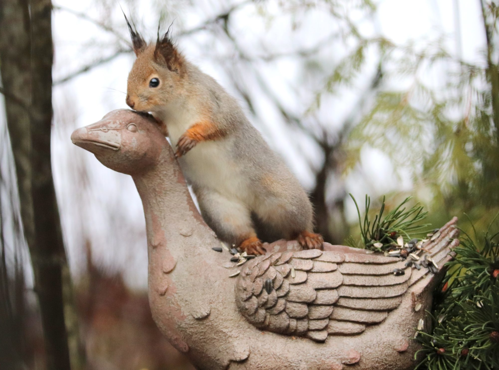 Valokuvaaja: Irja Lehtinen