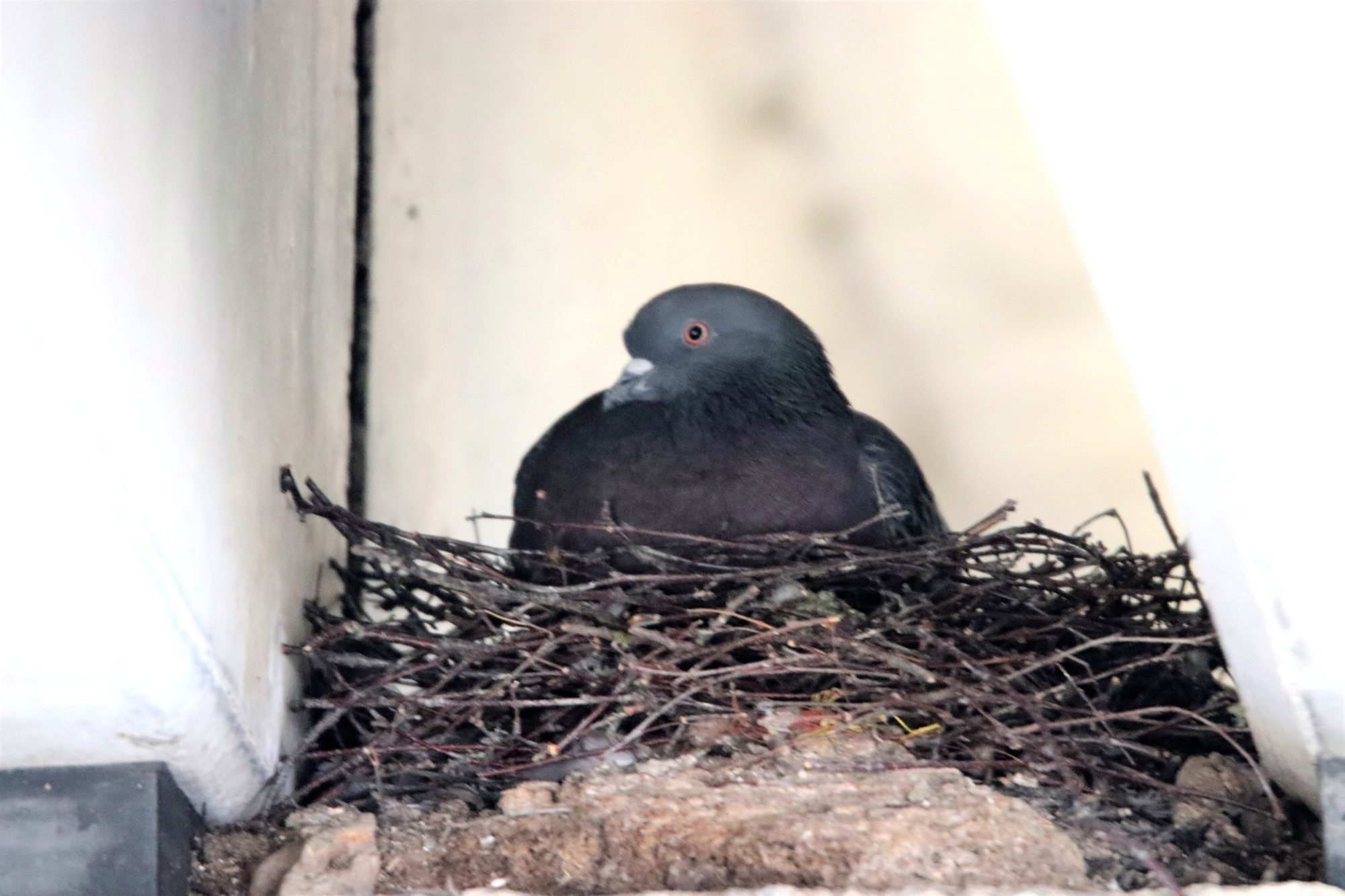 Valokuvaaja: Irja Lehtinen