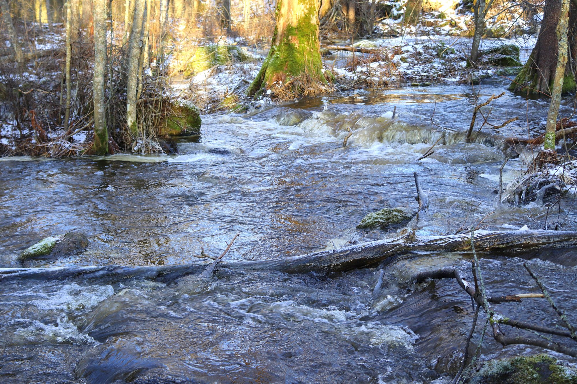Valokuvaaja: Irja Lehtinen