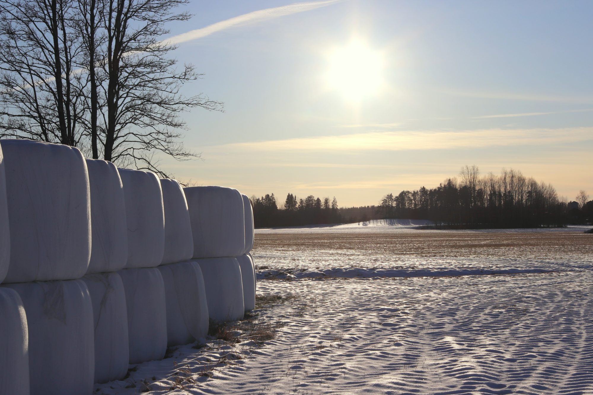 Valokuvaaja: Irja Lehtinen