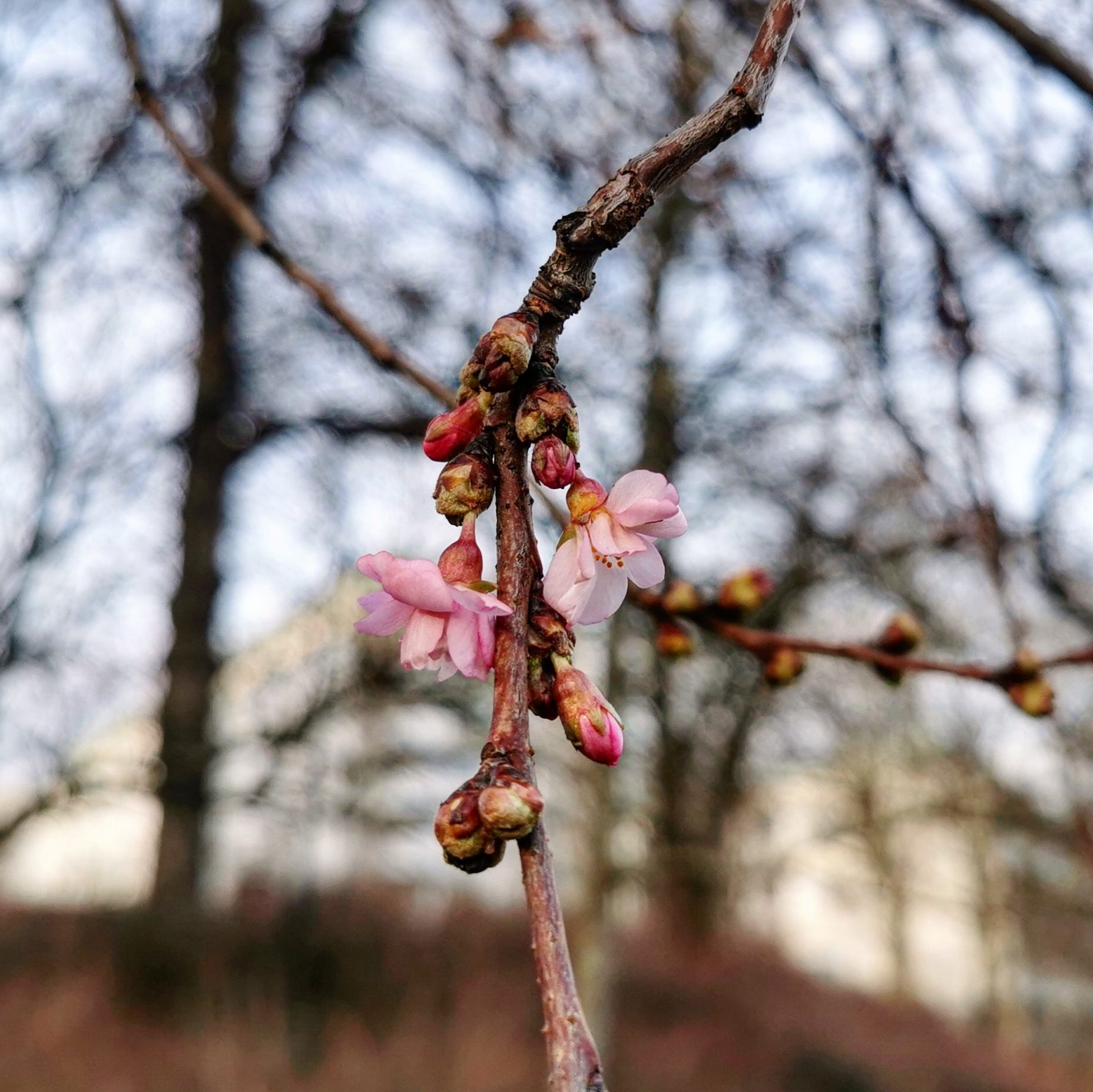 Valokuvaaja: Marke Forsgren