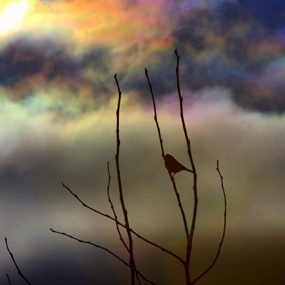 Valokuvaaja: Tapio Keinonen