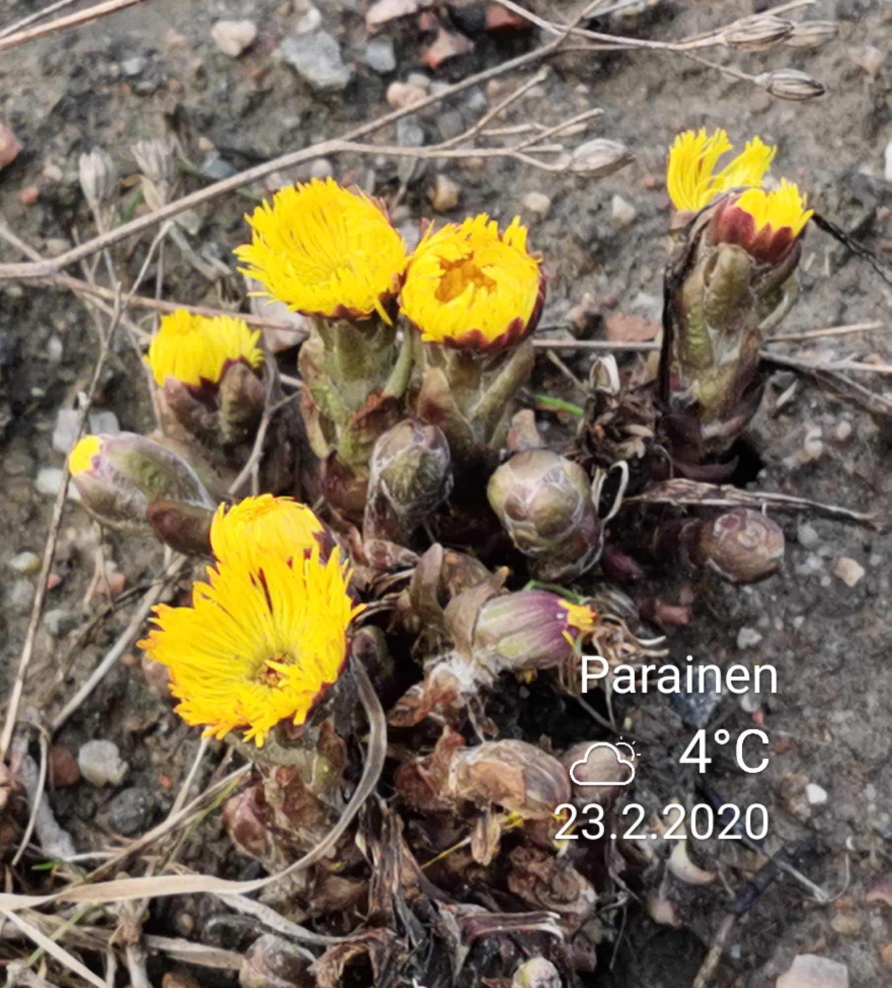 Valokuvaaja: Marke Forsgren