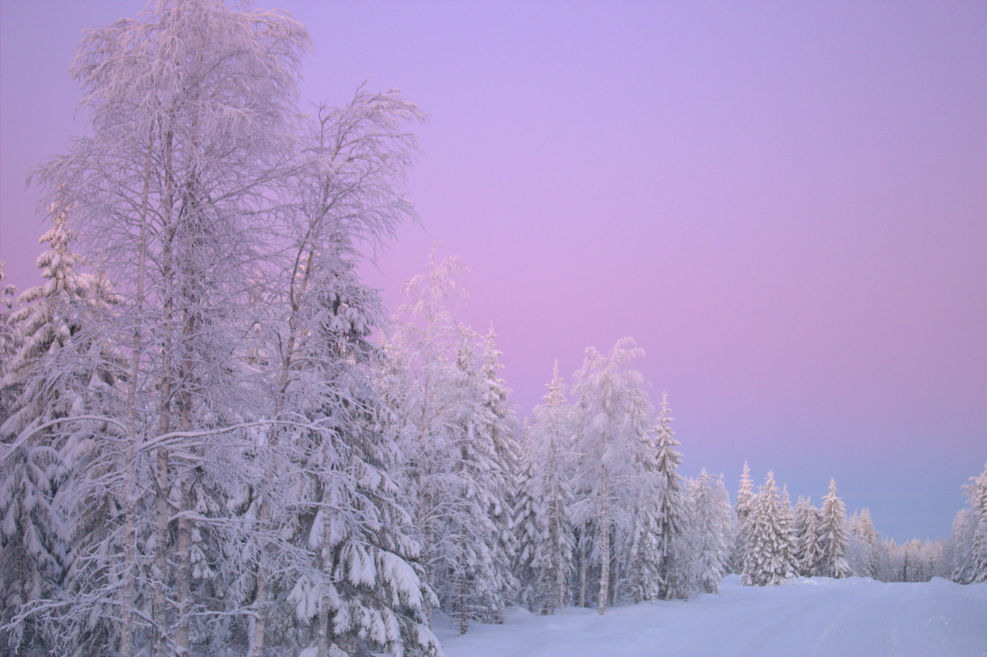 Valokuvaaja: Raija Kokkola
