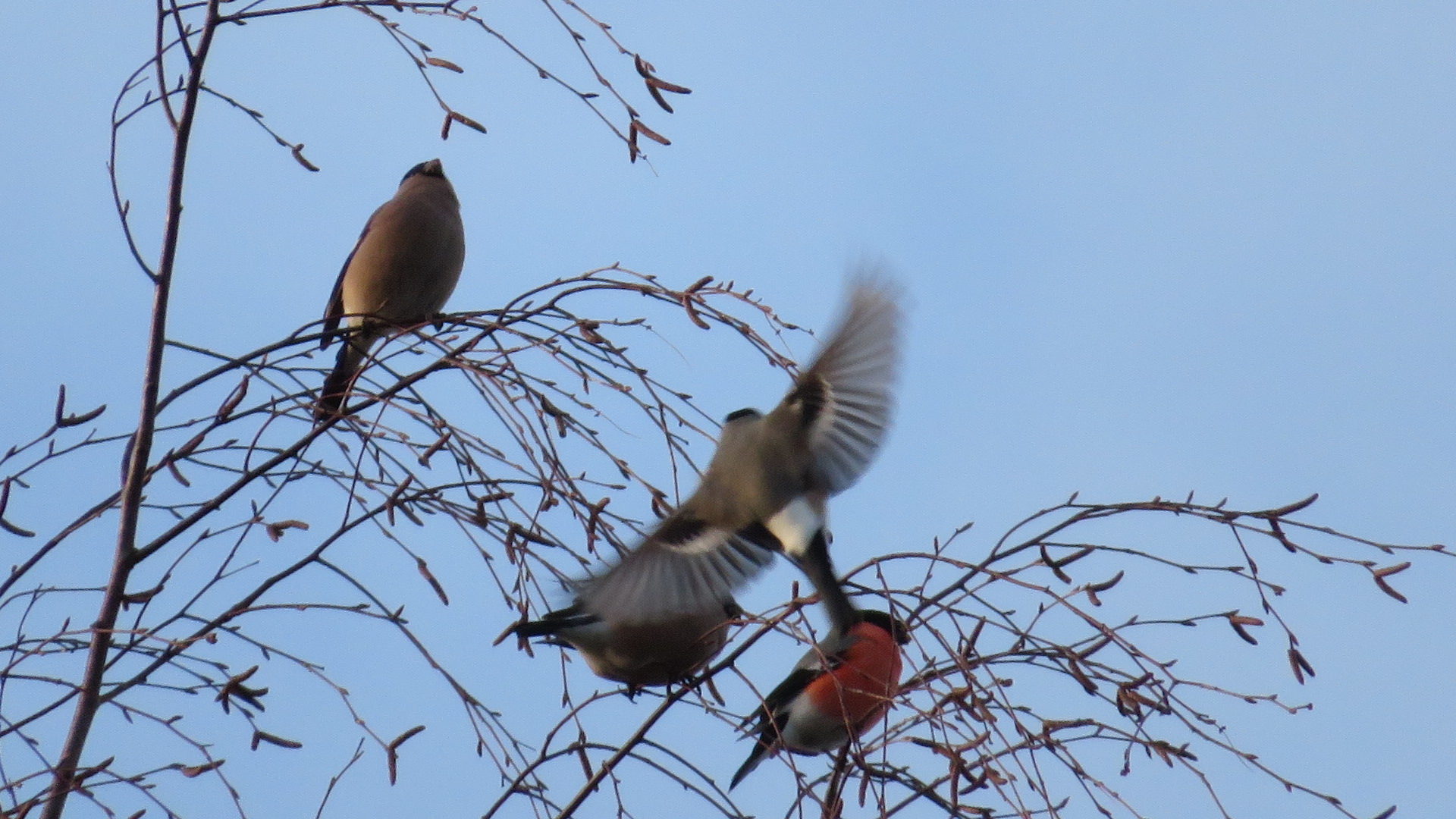 Valokuvaaja: Risto Kangassalo