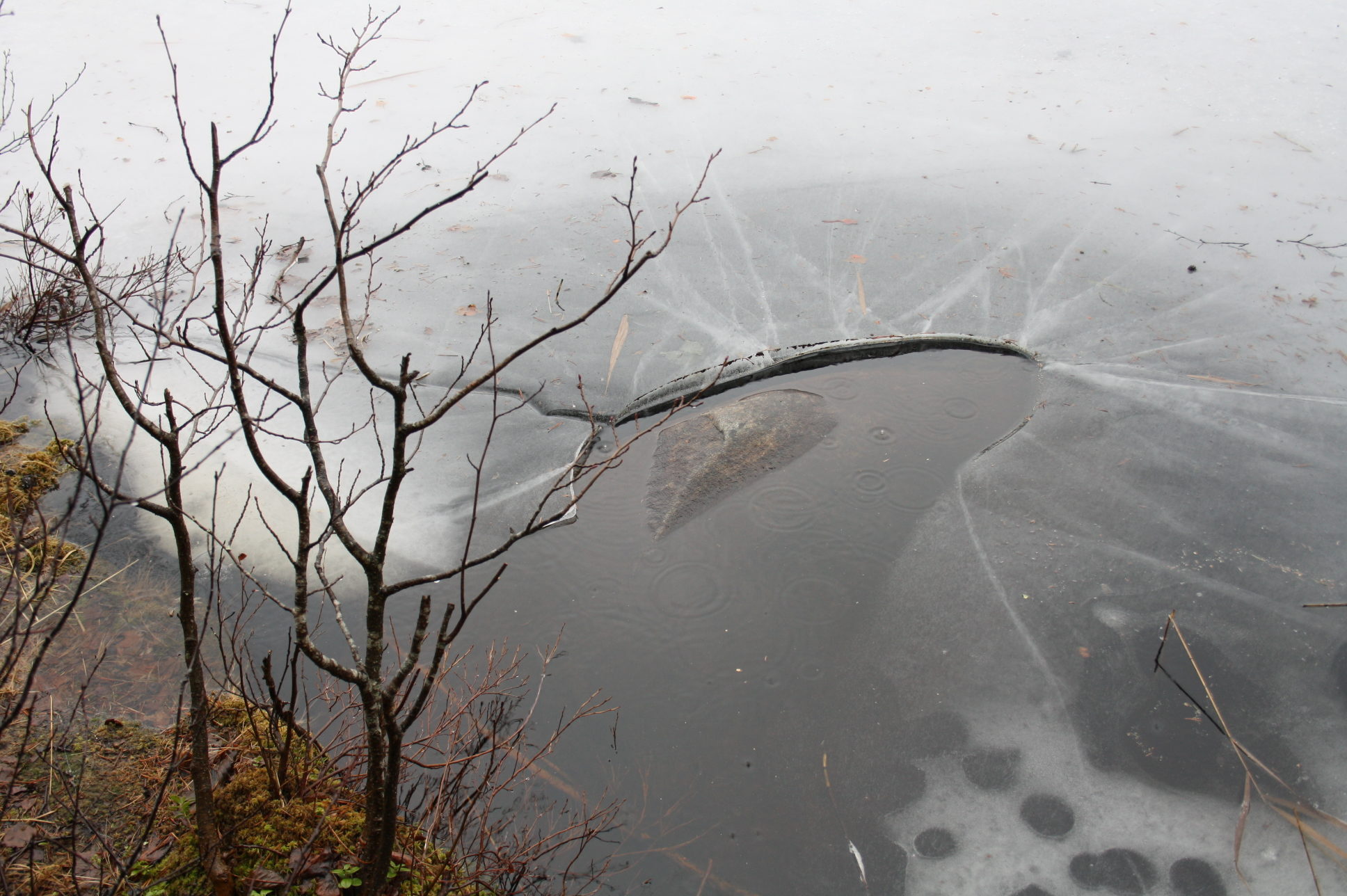 Valokuvaaja: Tuula Saarilahti Valokuvaaja: Tuula Saarilahti