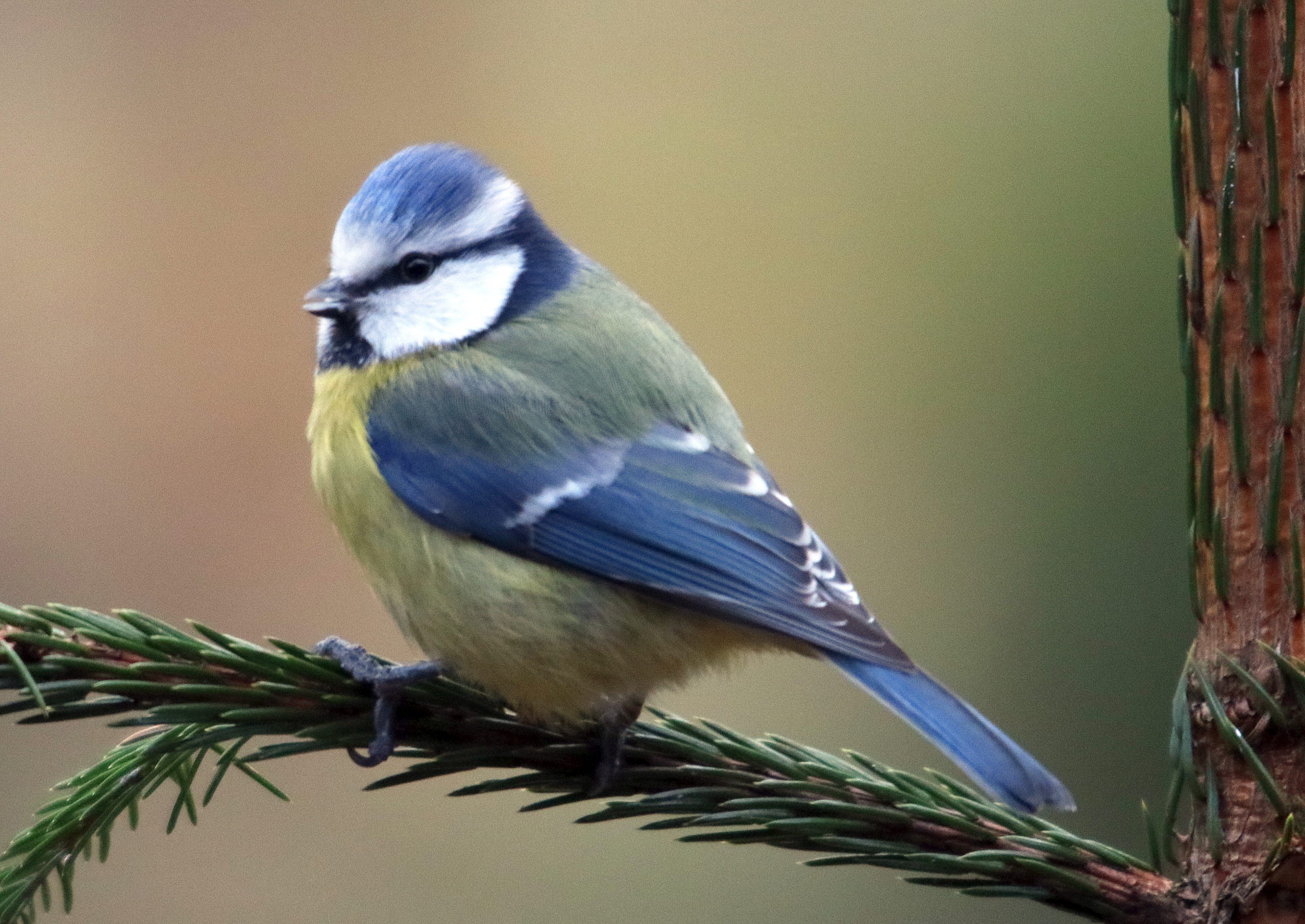 Valokuvaaja: Hannu Rasiranta