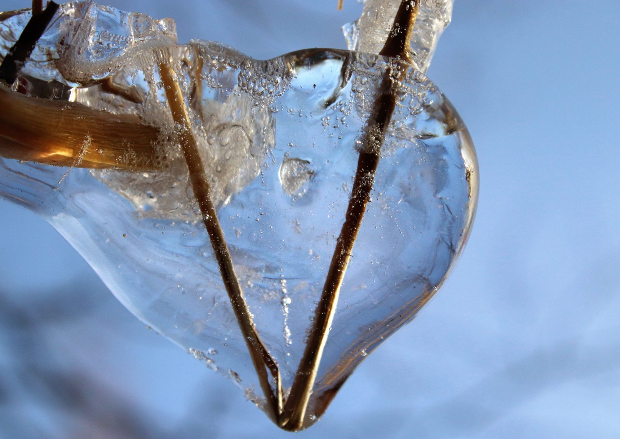 Valokuvaaja: Irja Lehtinen