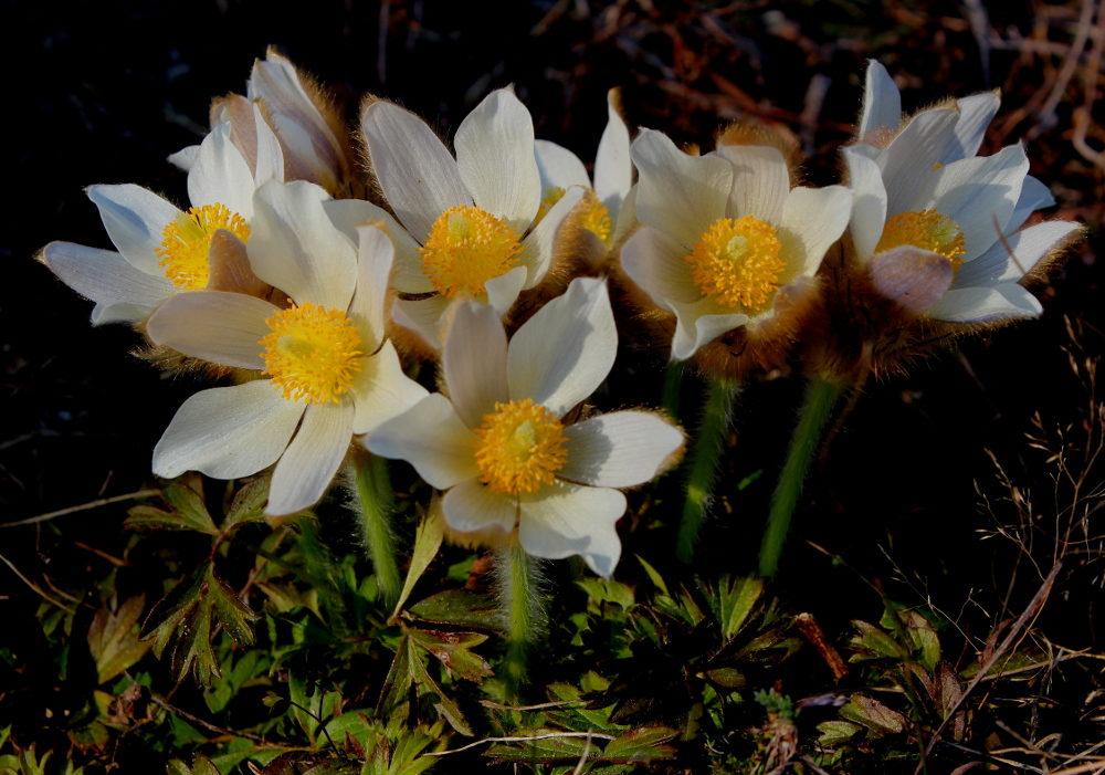 Valokuvaaja: Elisabet Varonen