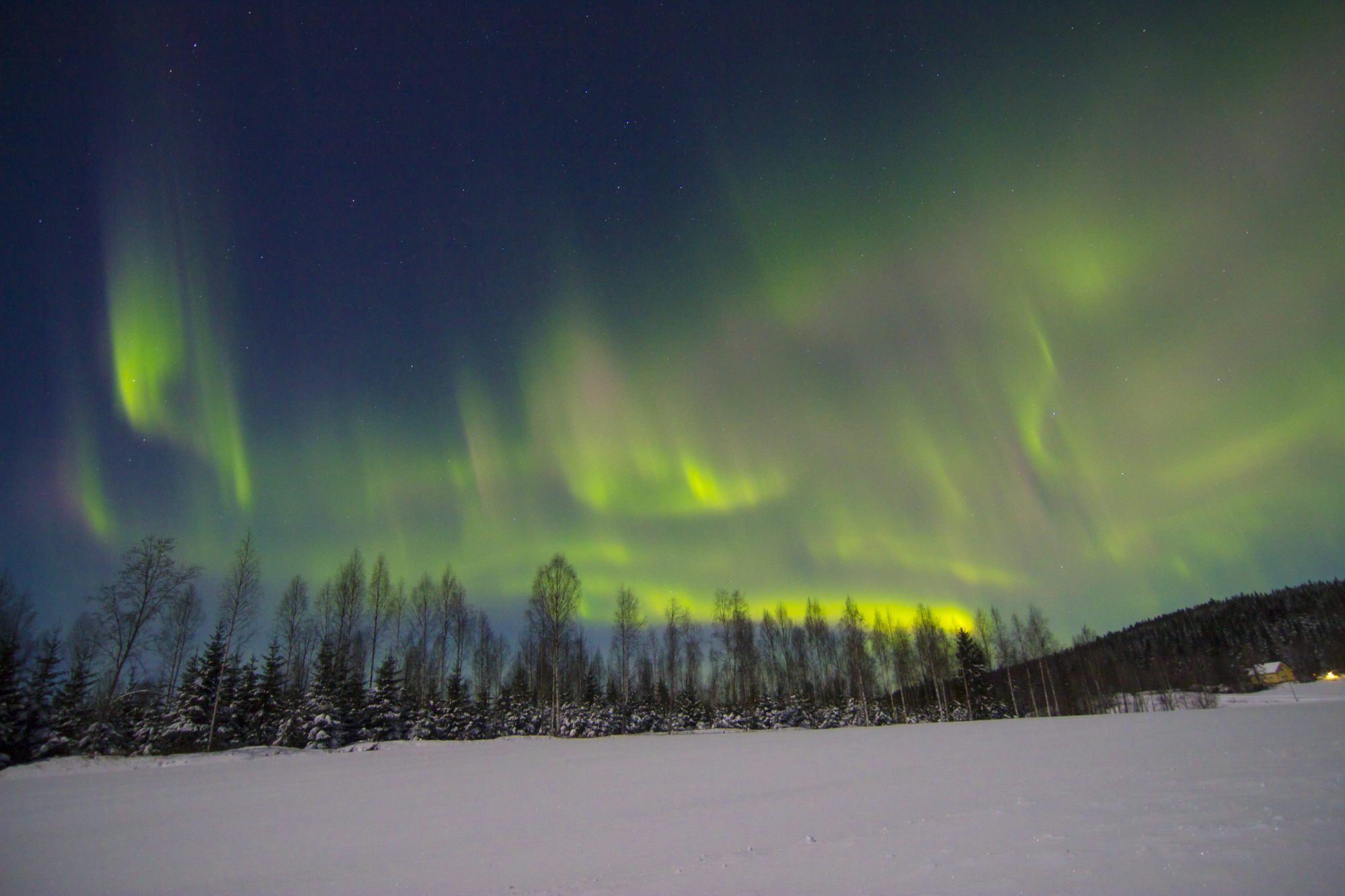 Valokuvaaja: Raija Kokkola