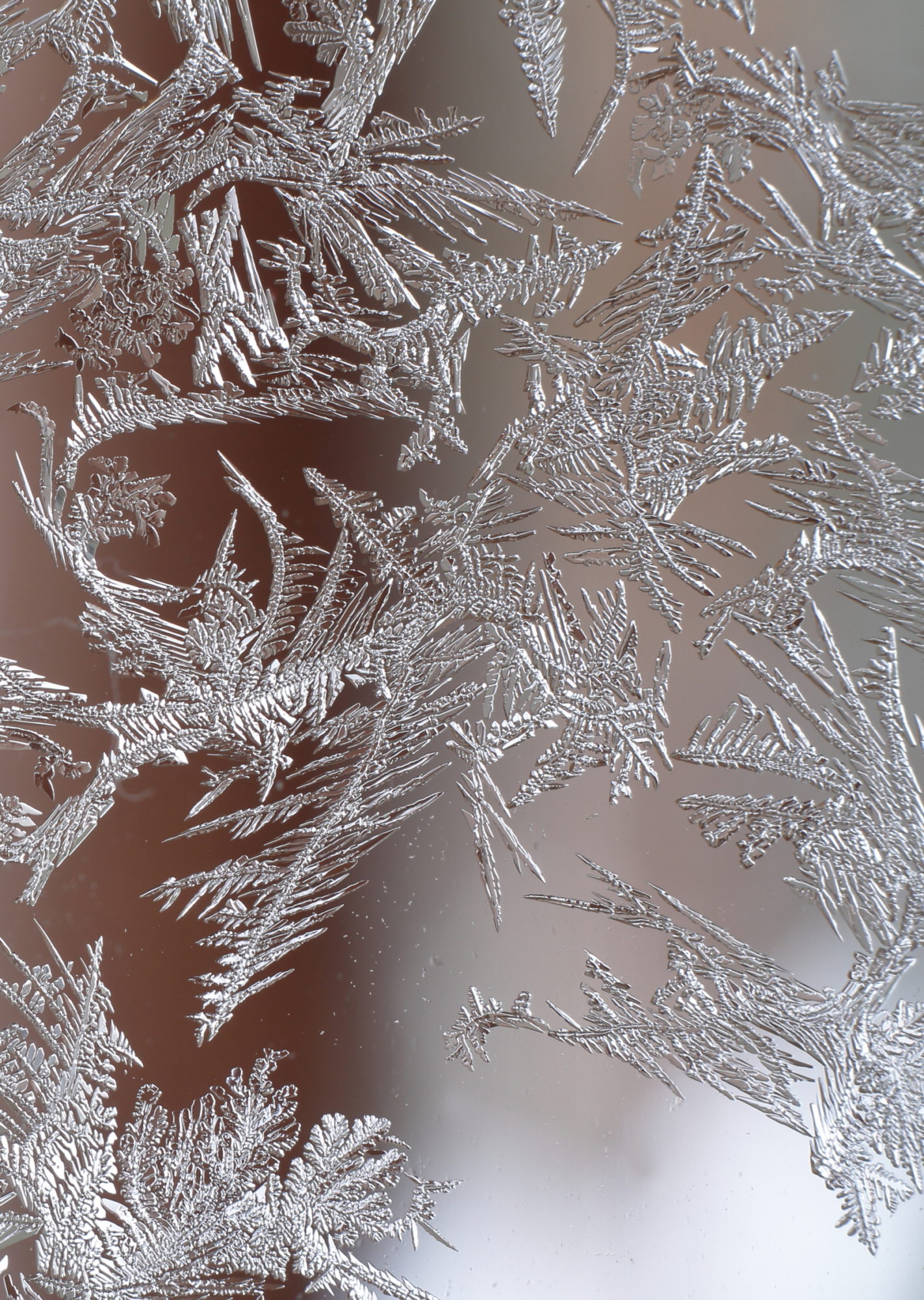 Valokuvaaja: Lasse Kokko