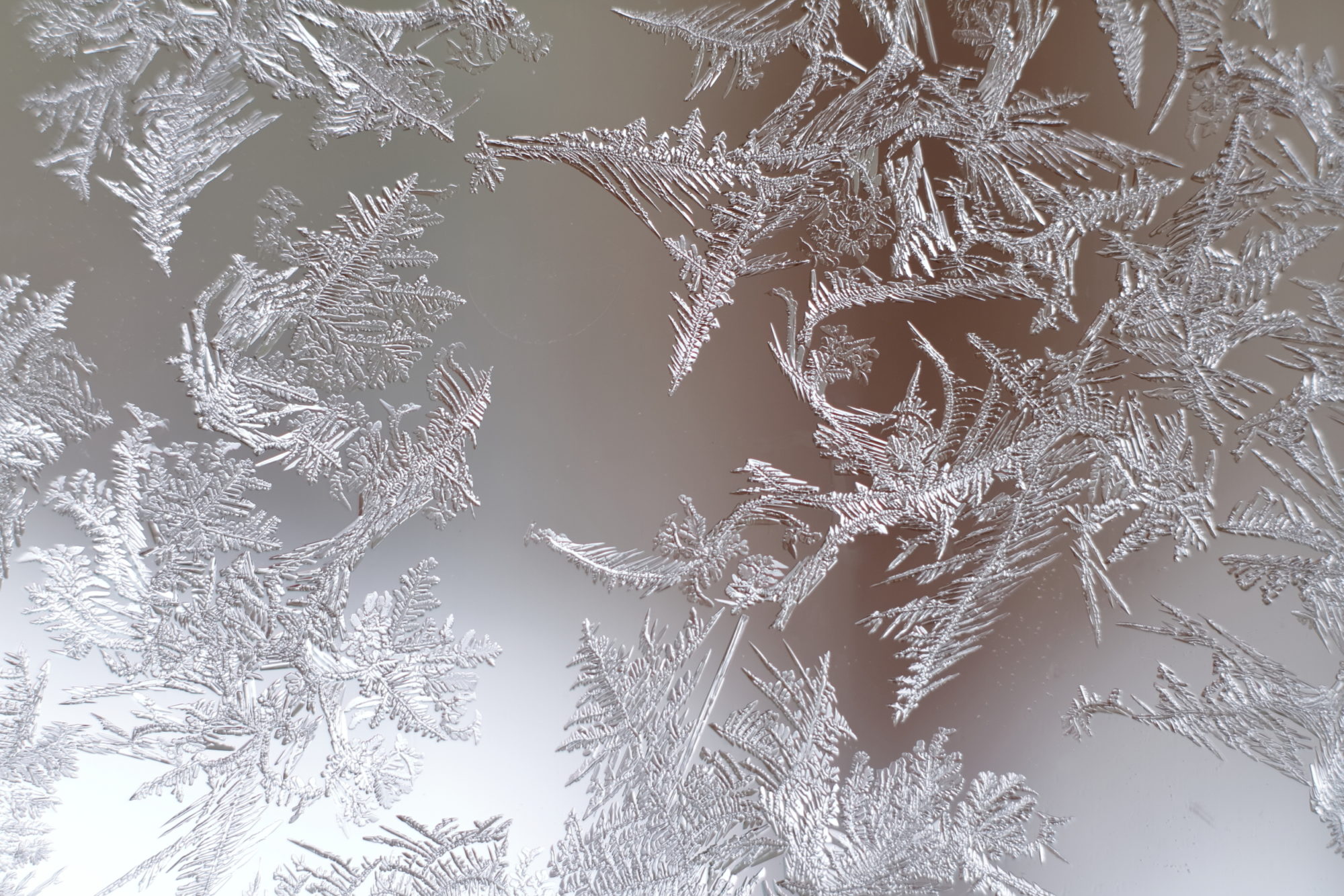 Valokuvaaja: Lasse Kokko