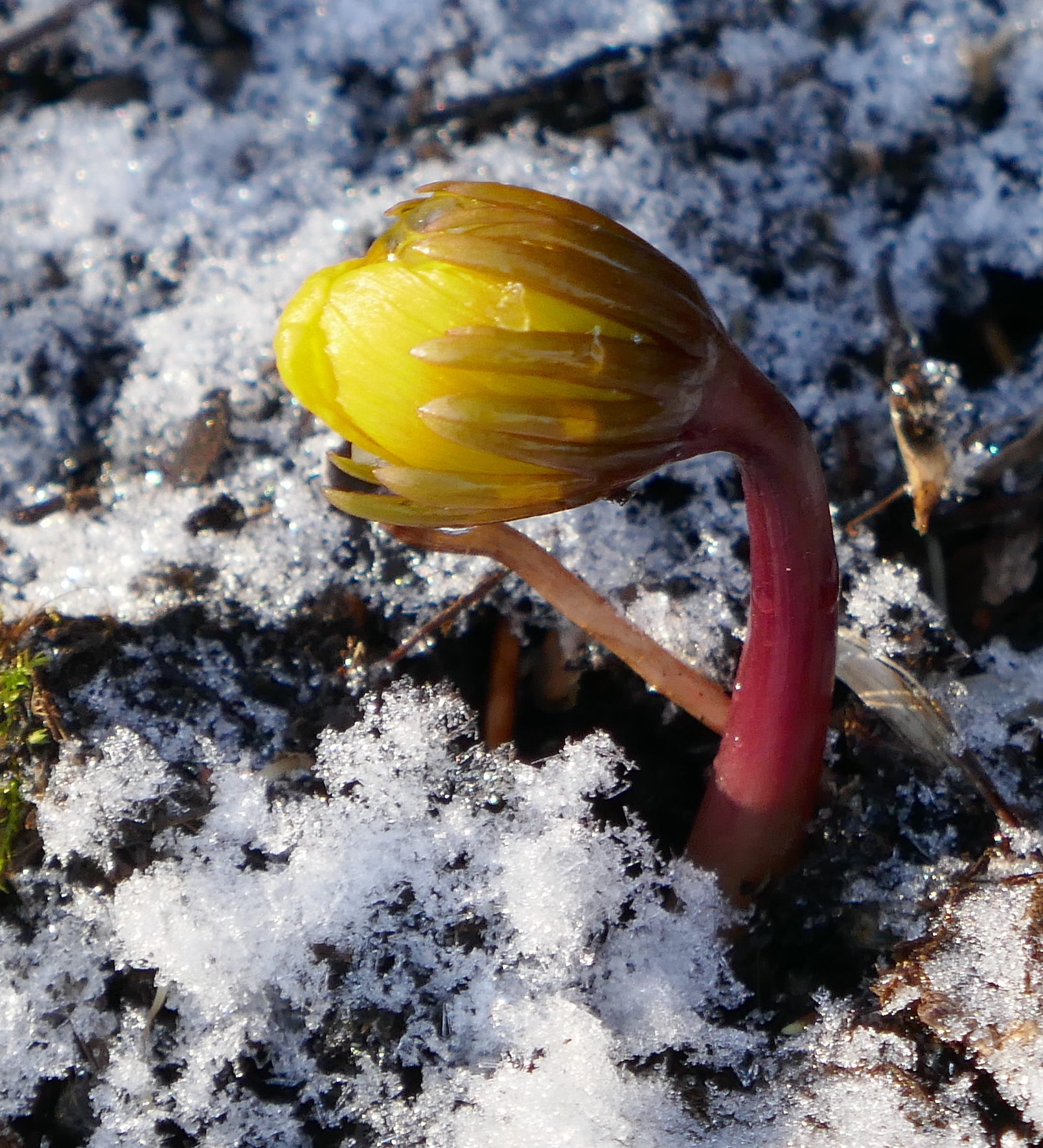 Valokuvaaja: Marjut Ikonen