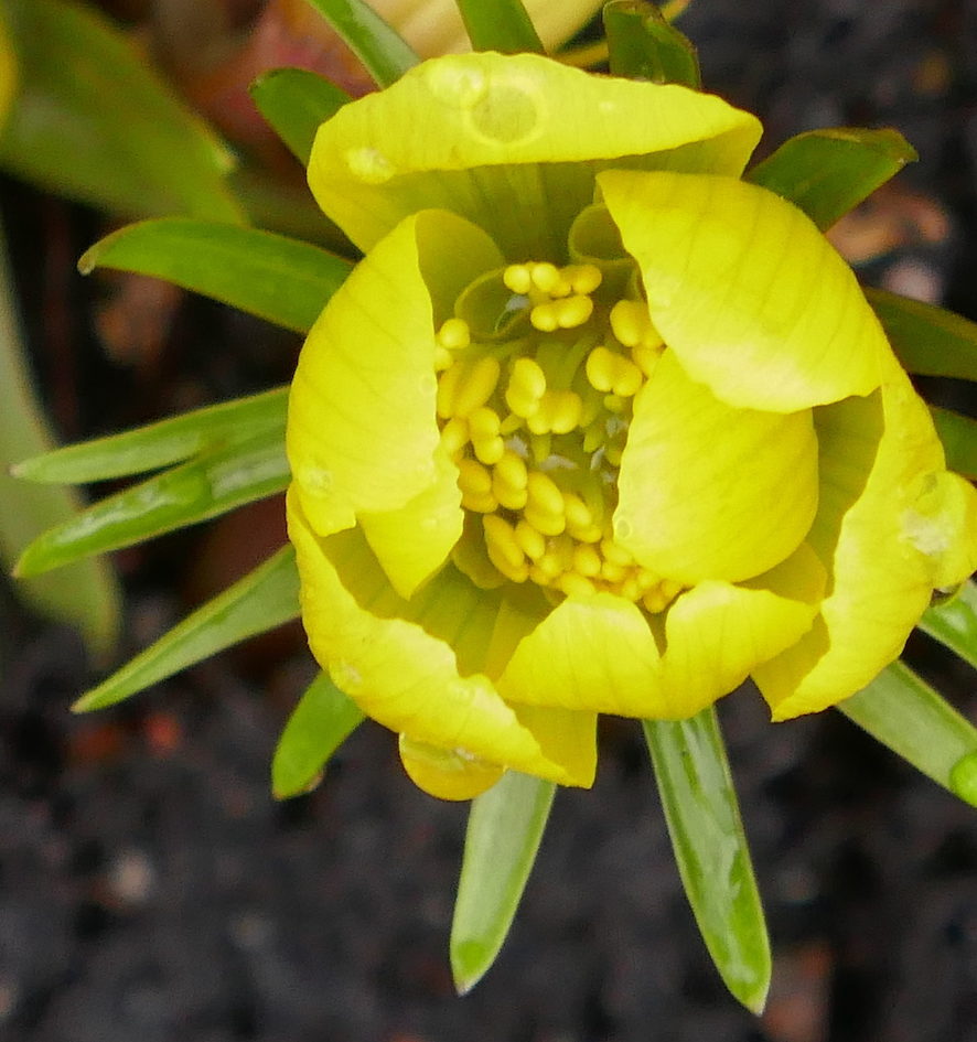 Valokuvaaja: Marjut Ikonen