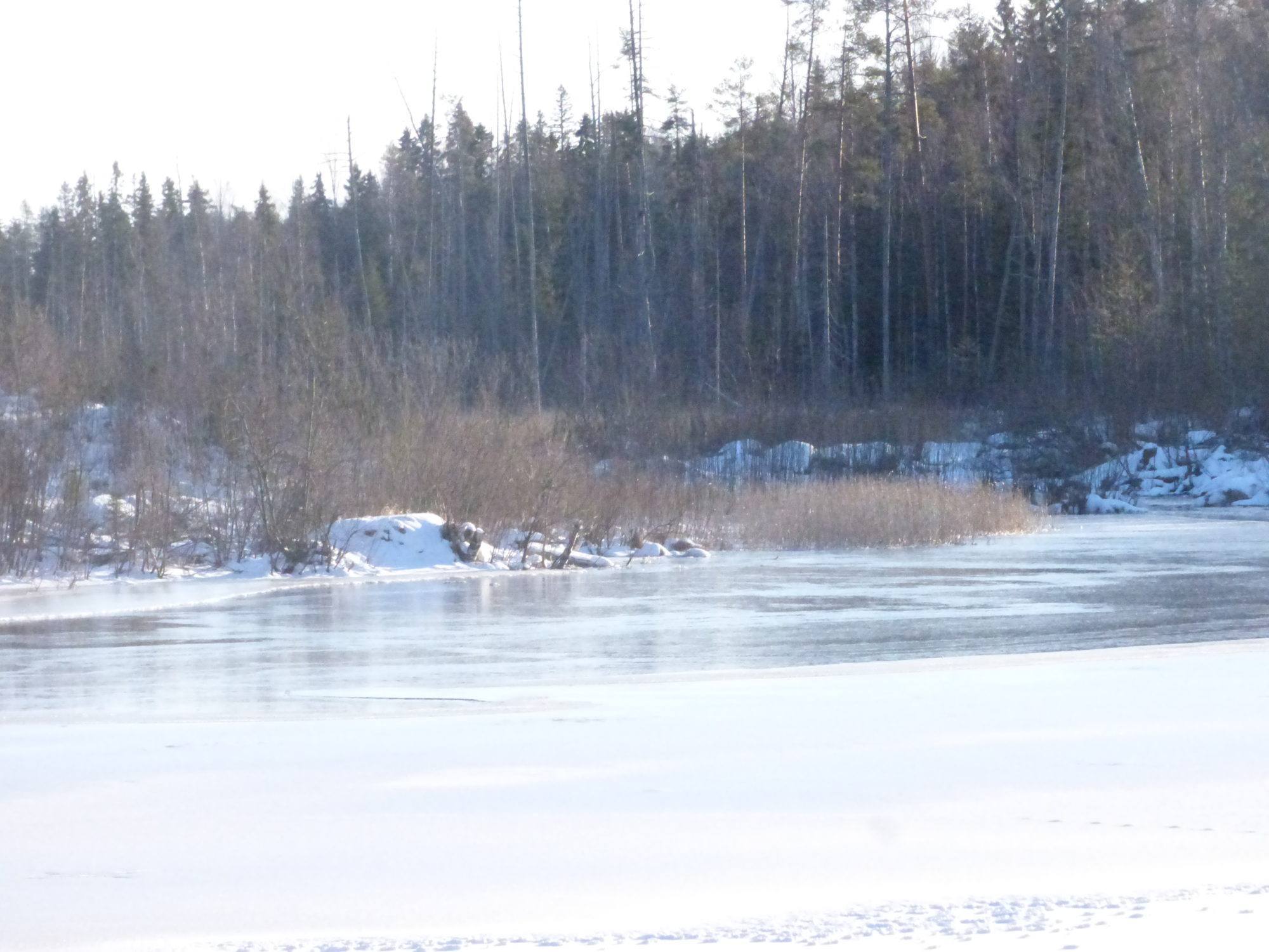 Valokuvaaja: Hannu Rissanen