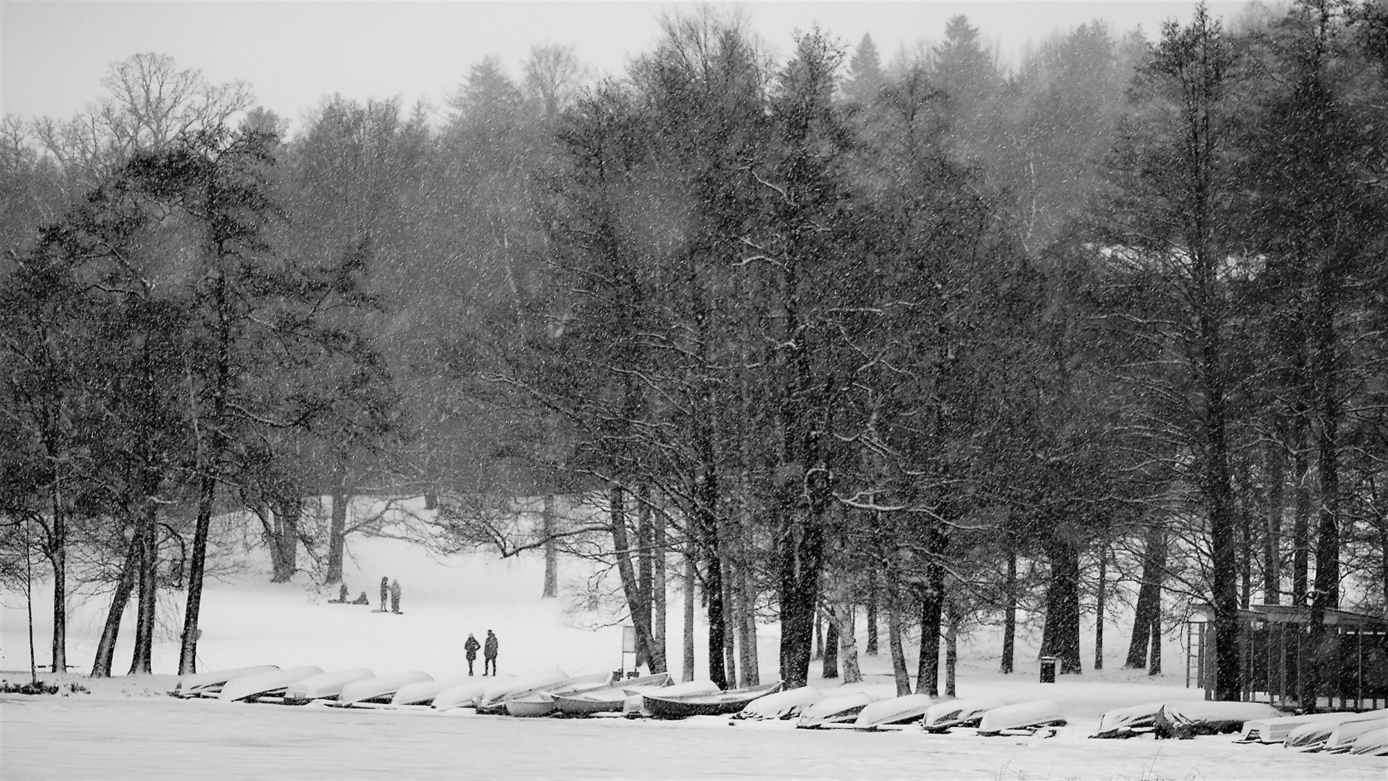 Valokuvaaja: Arja Valtonen