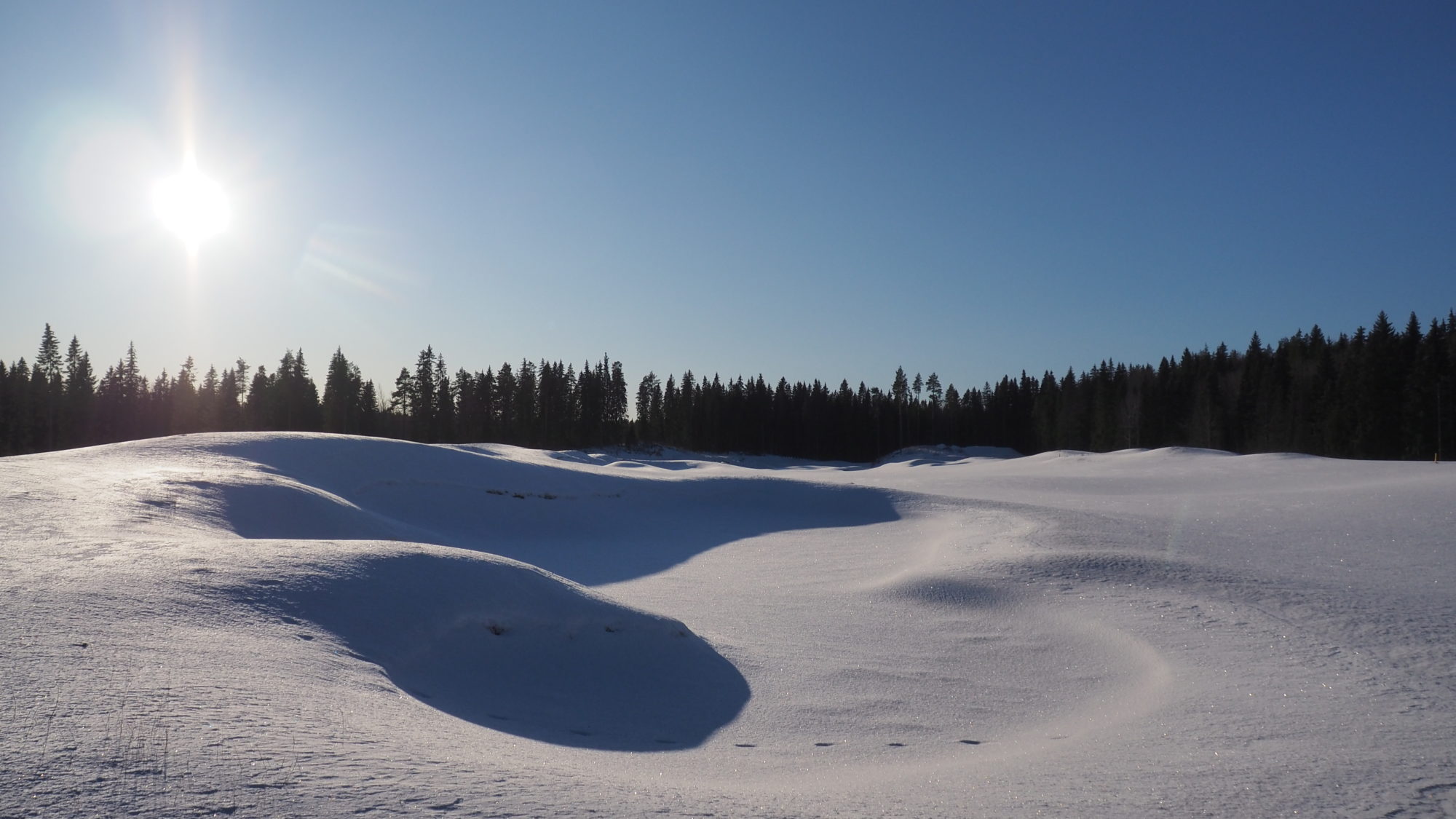 Valokuvaaja: Arja Valtonen