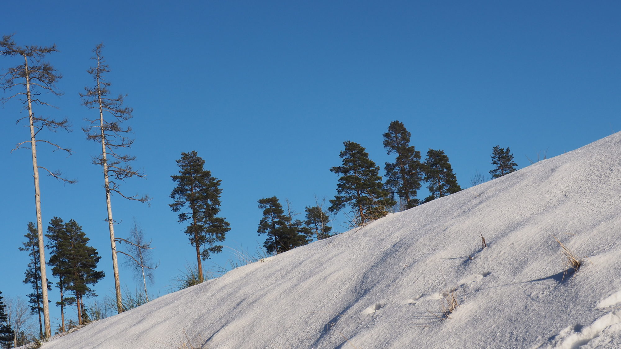 Valokuvaaja: Arja Valtonen Valokuvaaja: Arja Valtonen