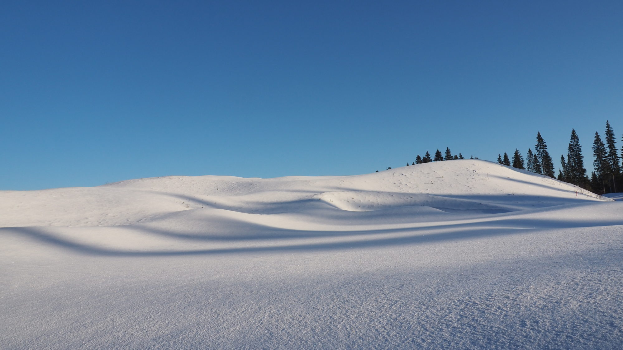 Valokuvaaja: Arja Valtonen