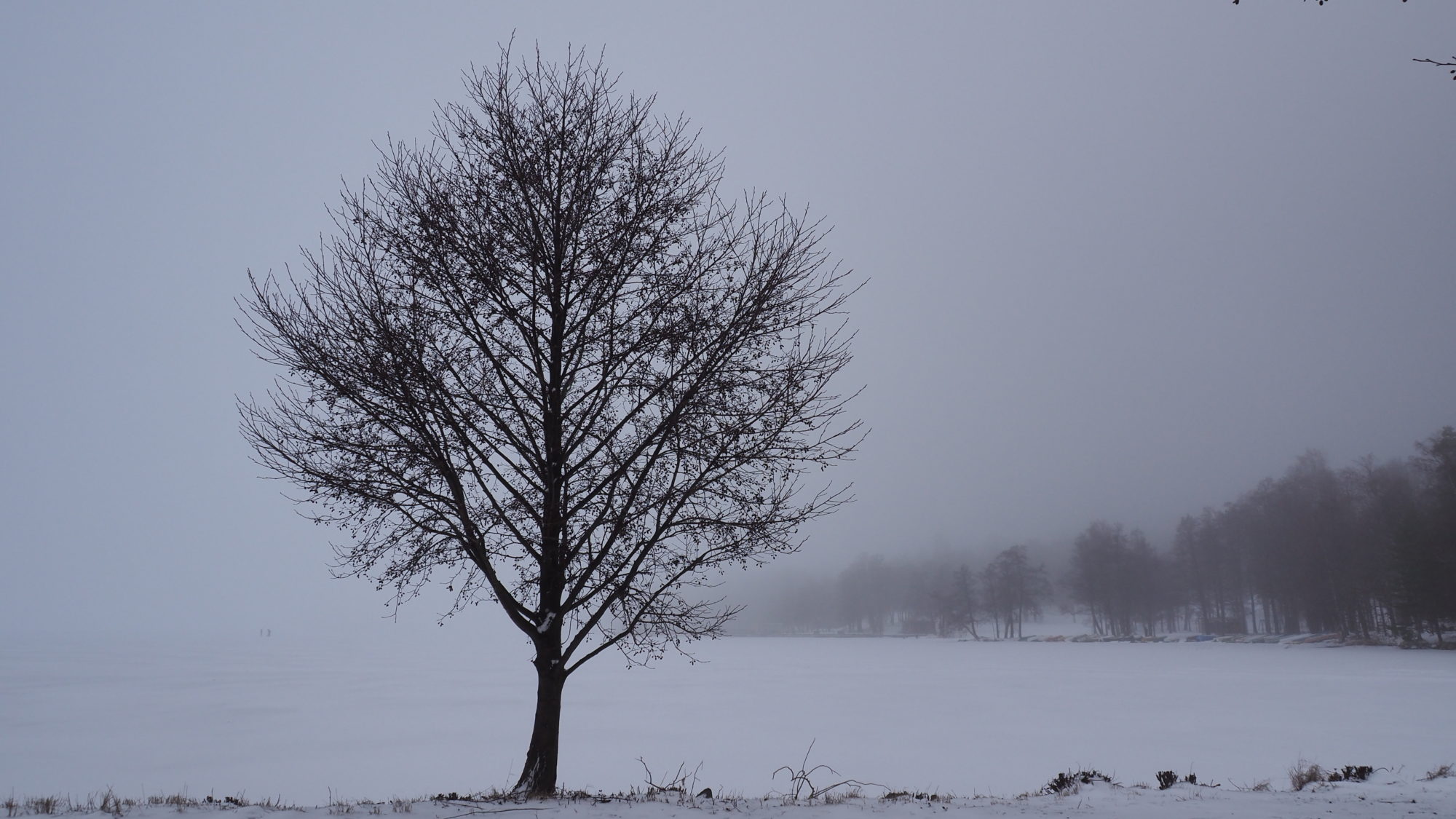 Valokuvaaja: Arja Valtonen