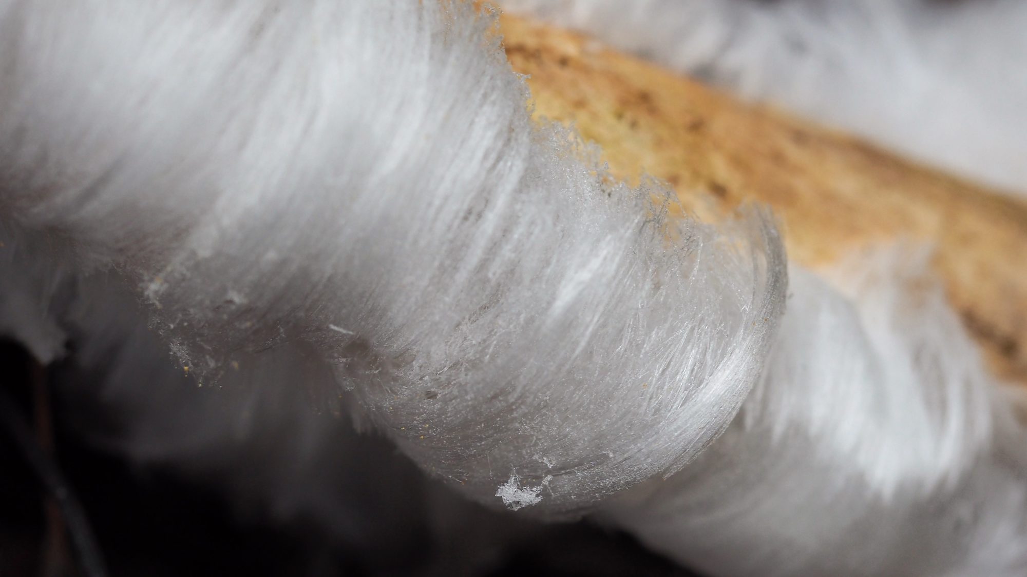 Valokuvaaja: Arja Valtonen