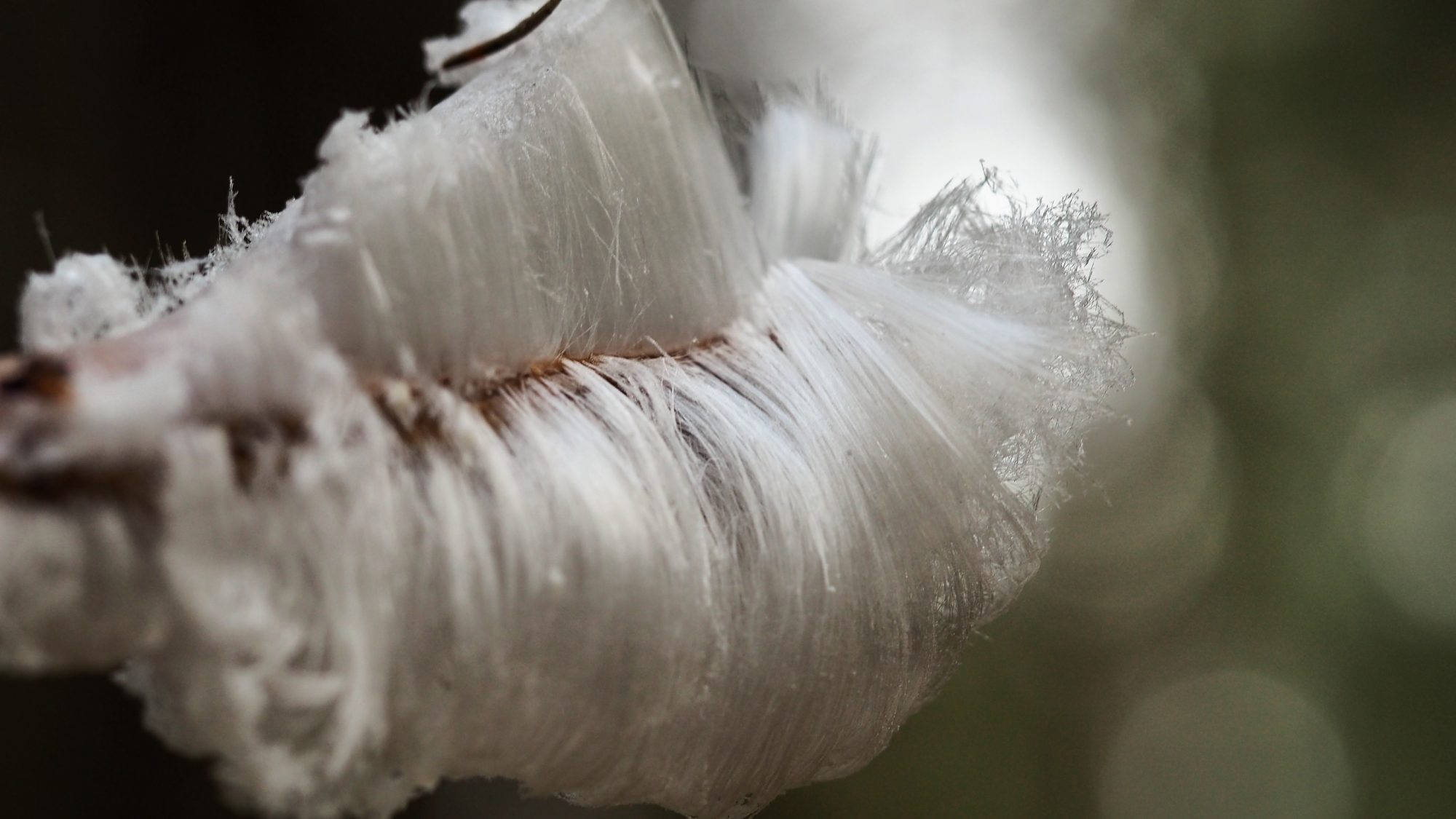 Valokuvaaja: Arja Valtonen