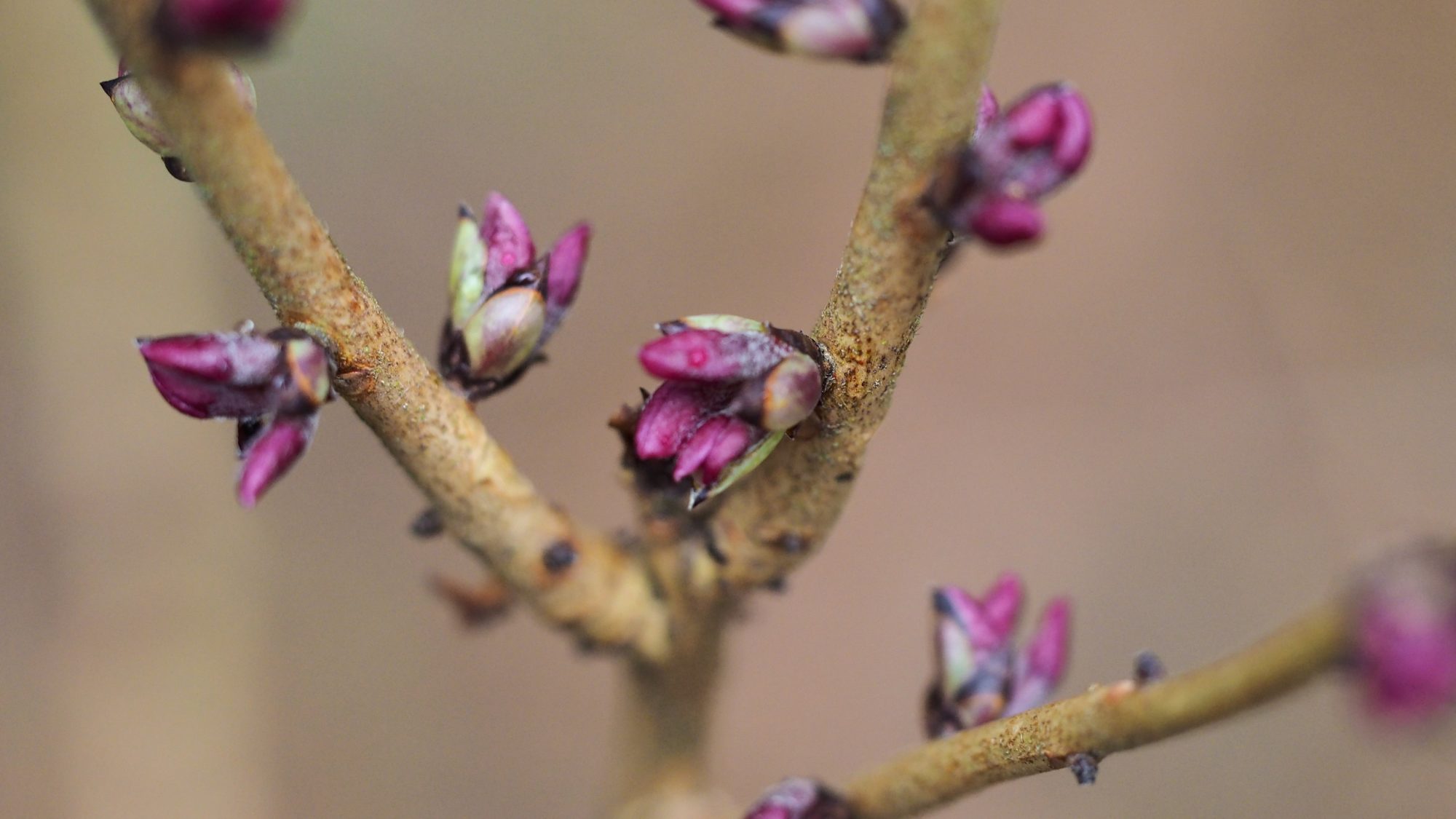 Valokuvaaja: Arja Valtonen Valokuvaaja: Arja Valtonen