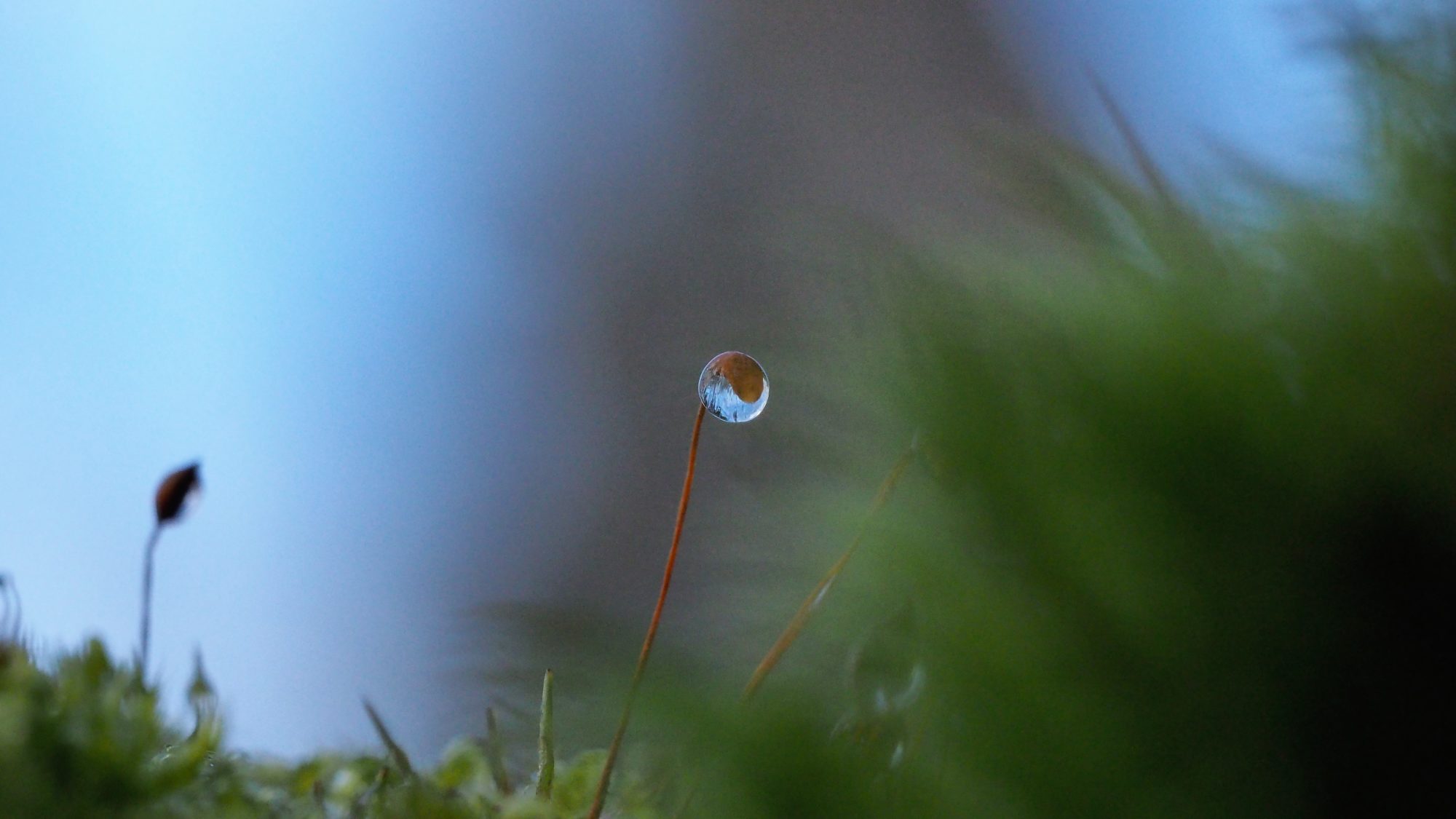 Valokuvaaja: Arja Valtonen