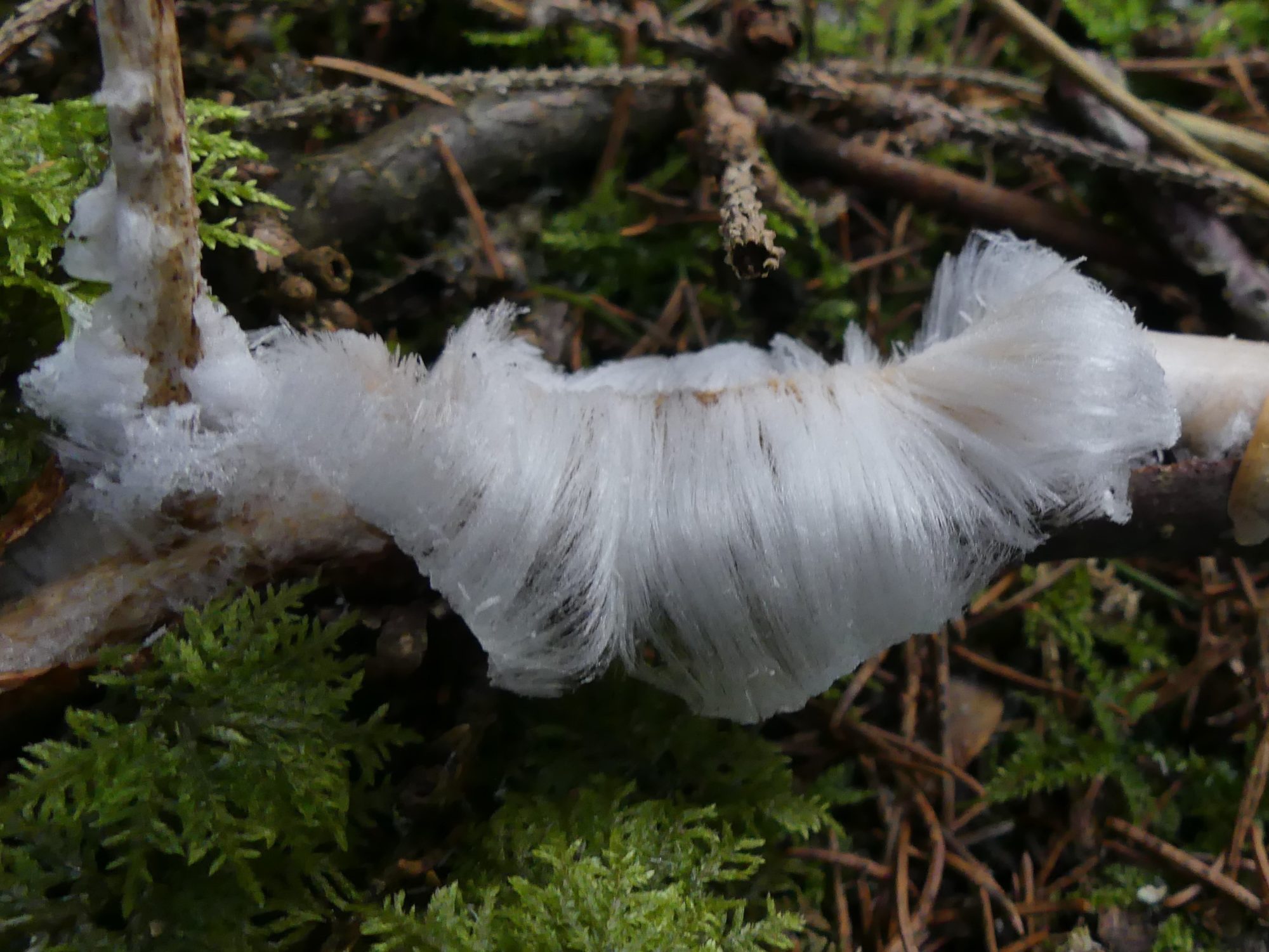 Valokuvaaja: Martti Valtonen