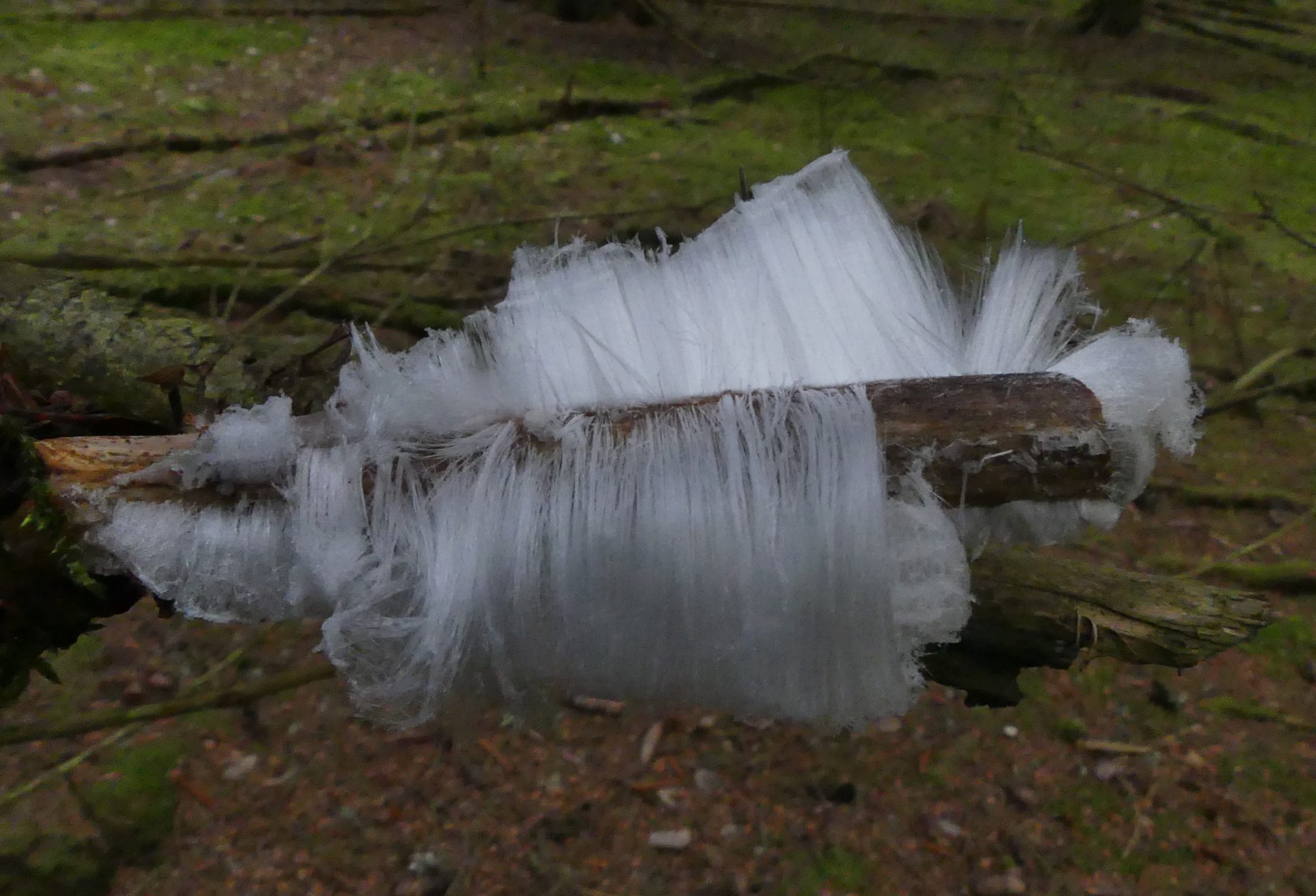 Valokuvaaja: Martti Valtonen