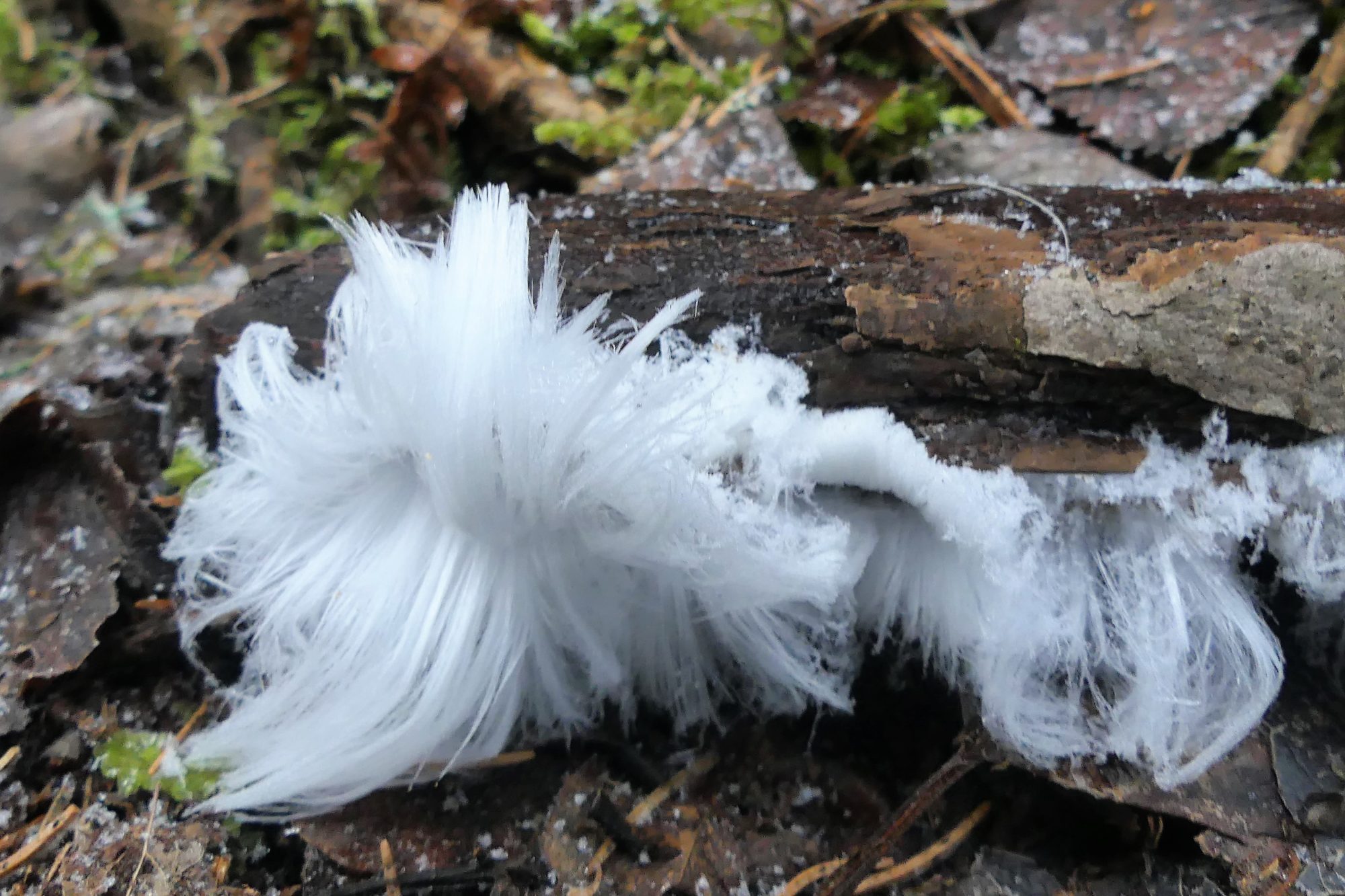 Valokuvaaja: Martti Valtonen