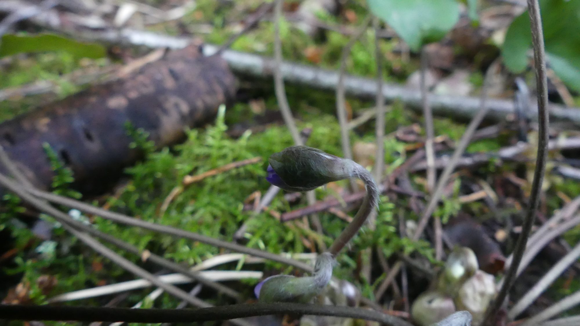 Valokuvaaja: Martti Valtonen