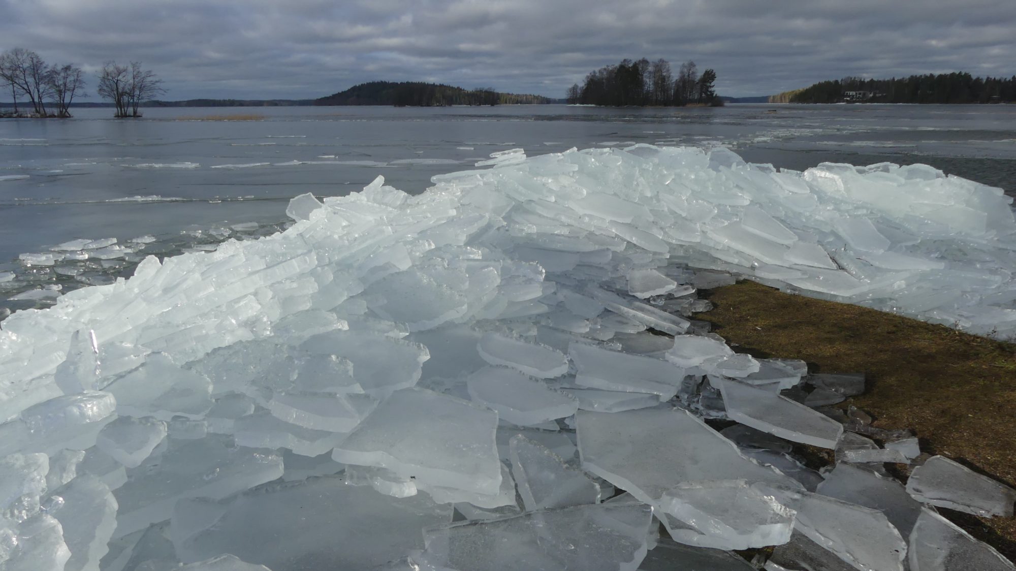 Valokuvaaja: Martti Valtonen
