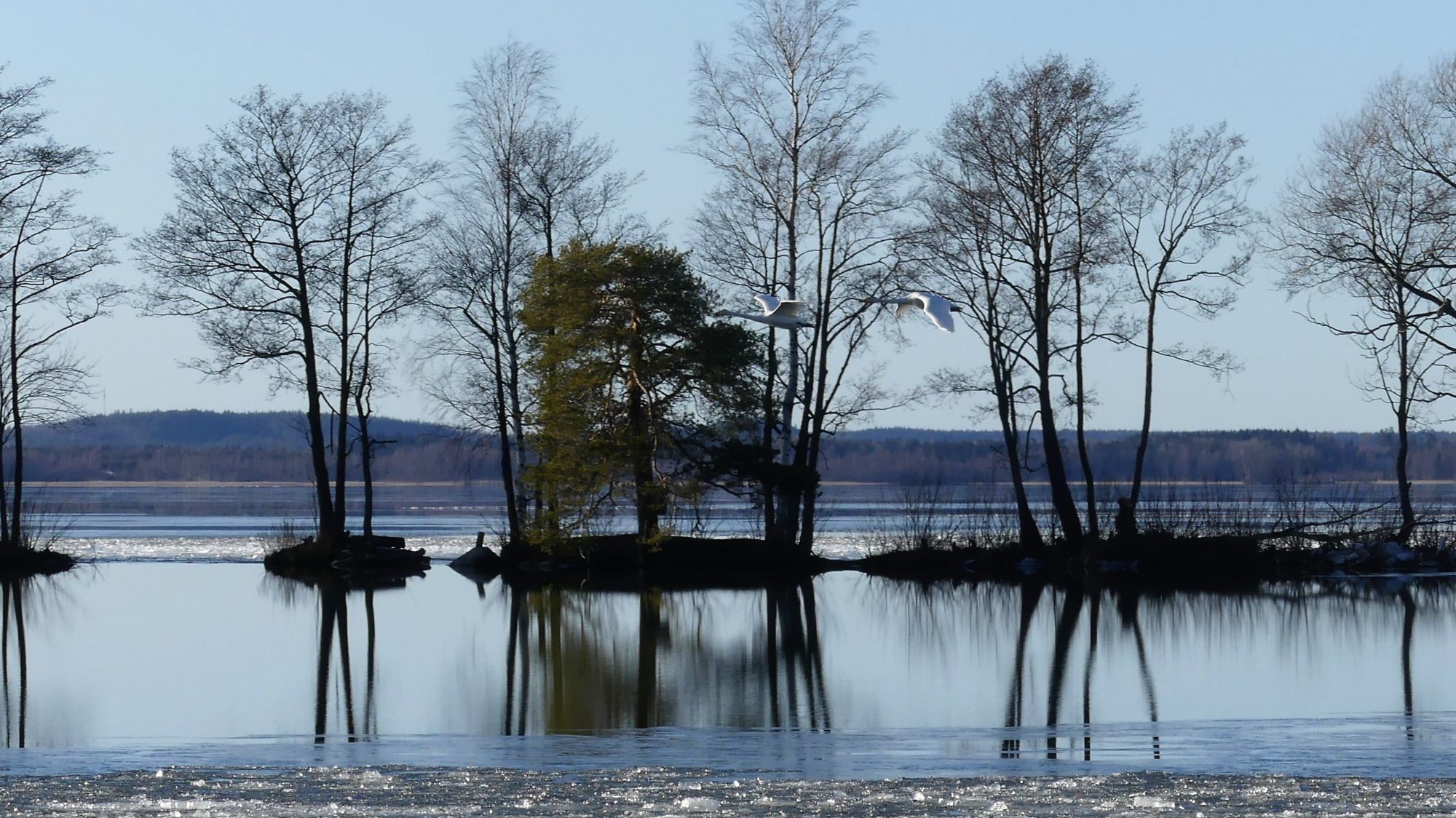 Valokuvaaja: Martti Valtonen