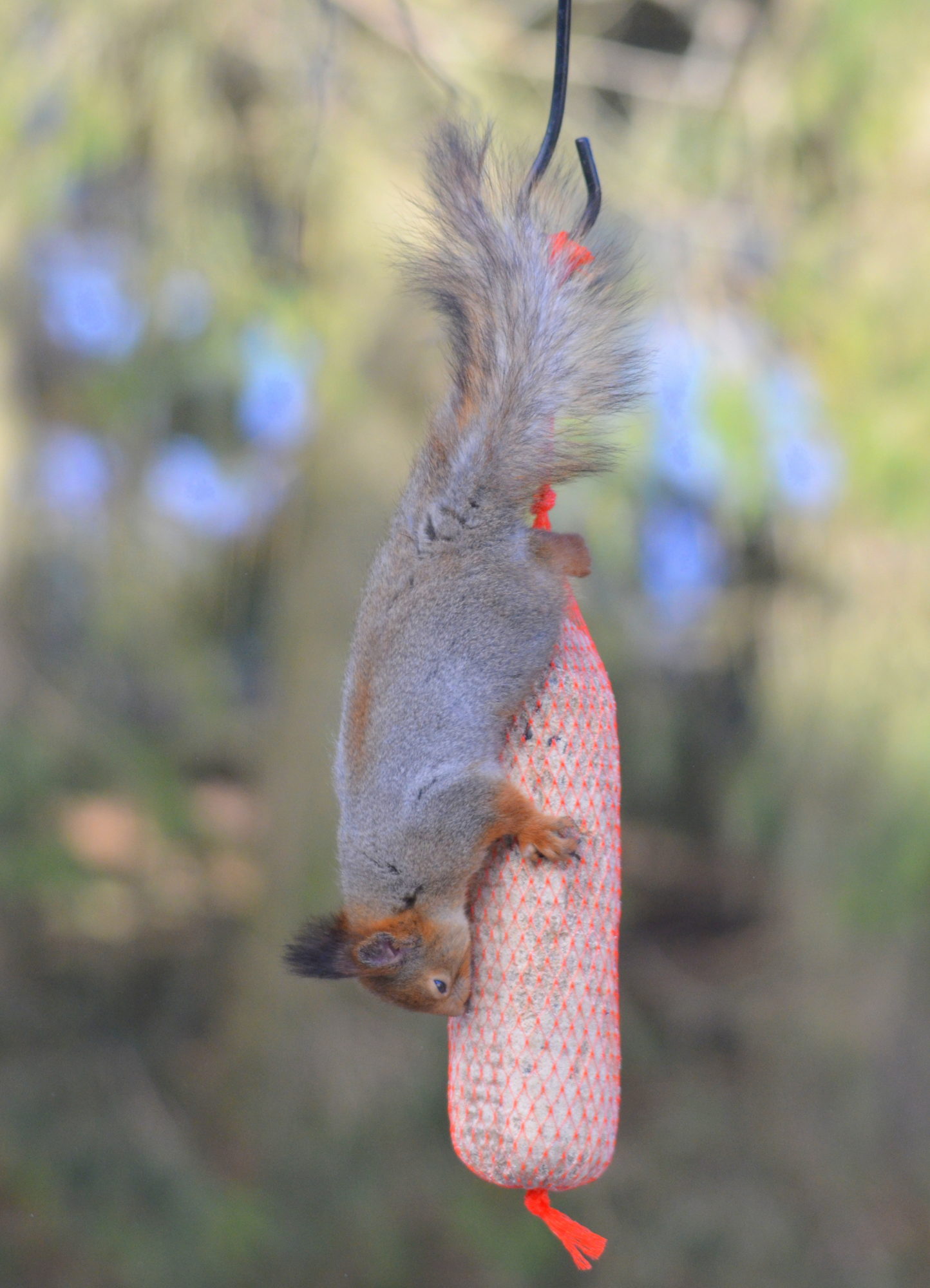 Valokuvaaja: Kaarlo Asikainen