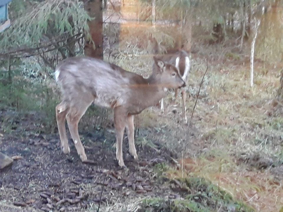 Valokuvaaja: Kaarina Walter