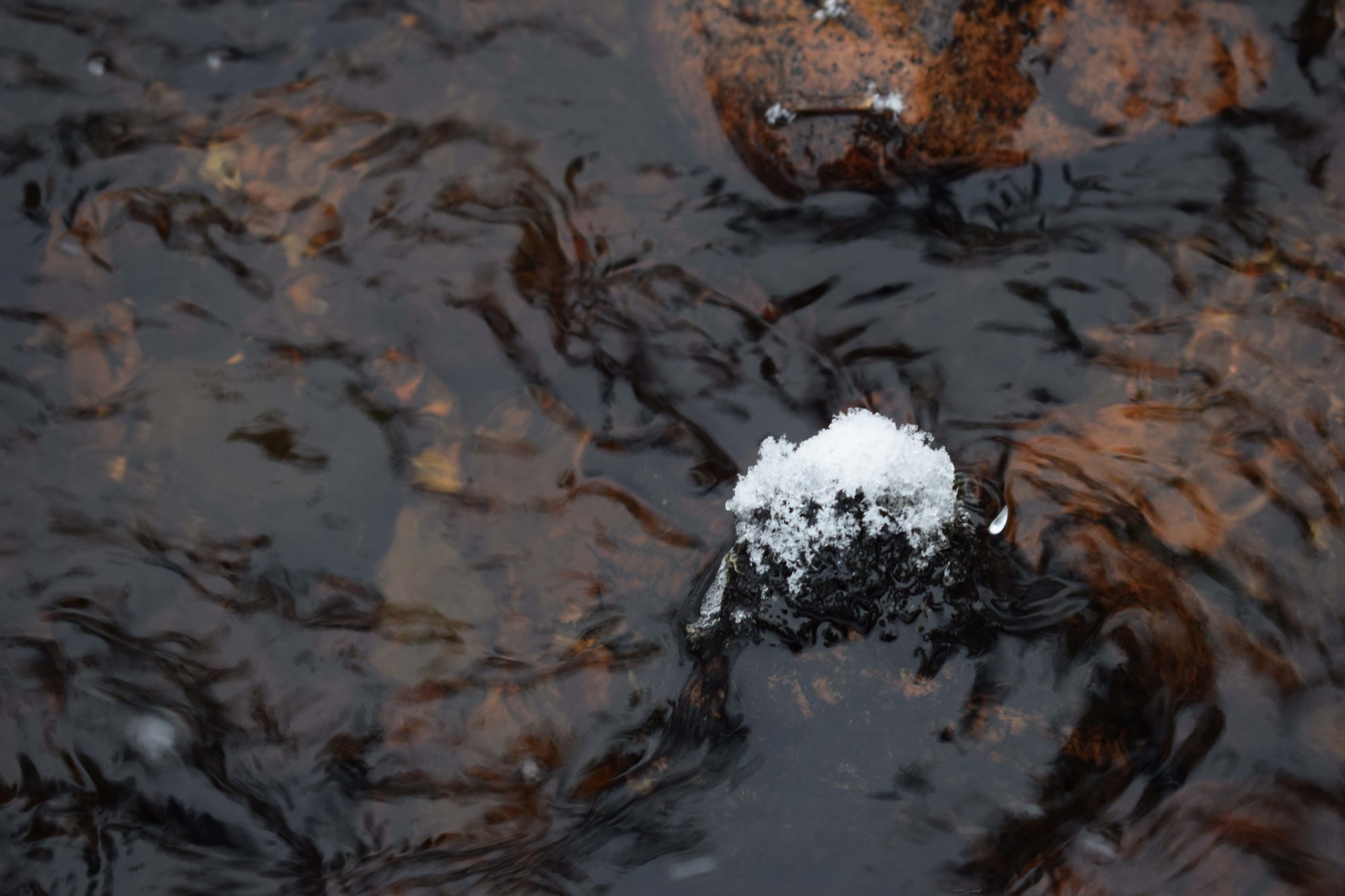 Valokuvaaja: Katri Konttinen