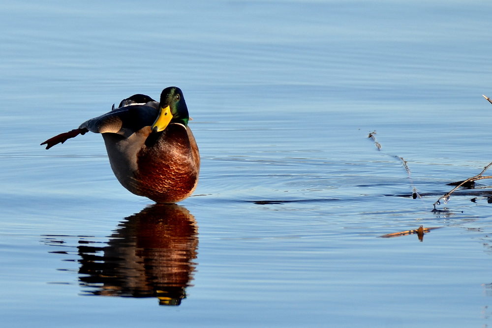 Valokuvaaja: Jouko Varonen Valokuvaaja: Jouko Varonen