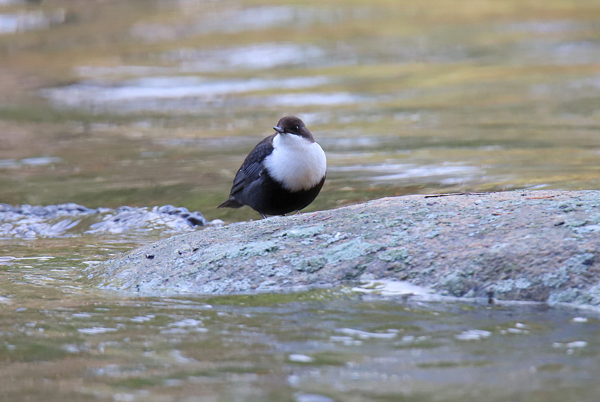 Valokuvaaja: sirpa jyske