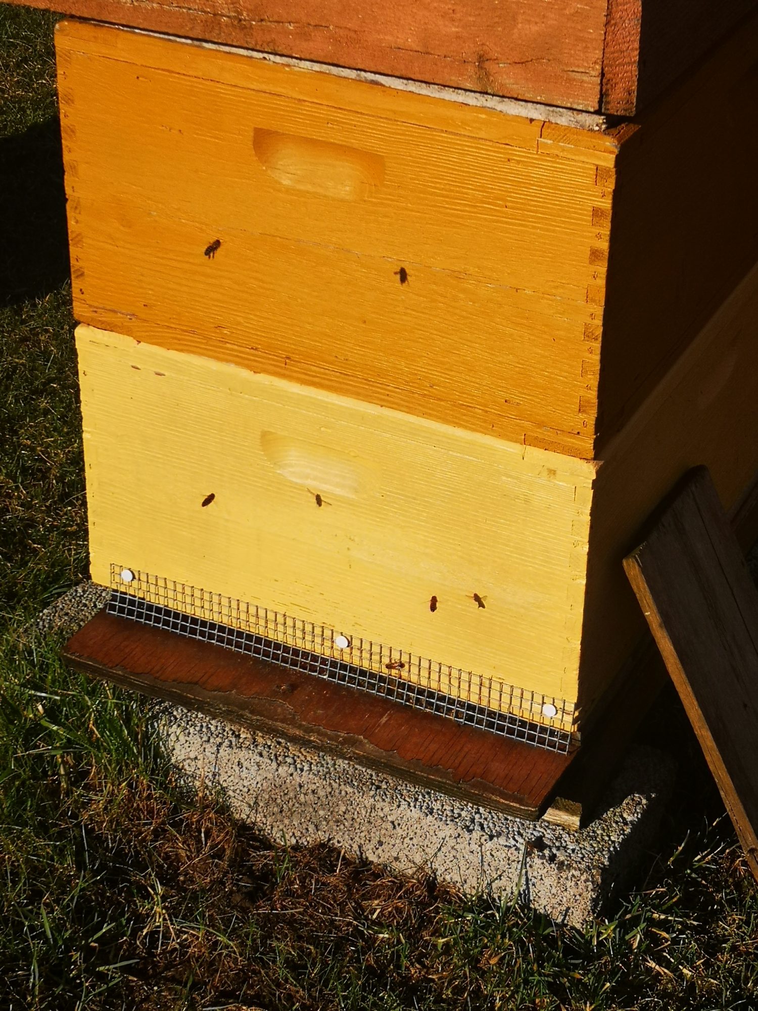 Valokuvaaja: Marjo Hakkarainen