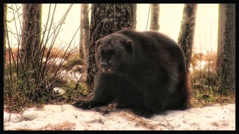 Valokuvaaja: Jorma Salonen