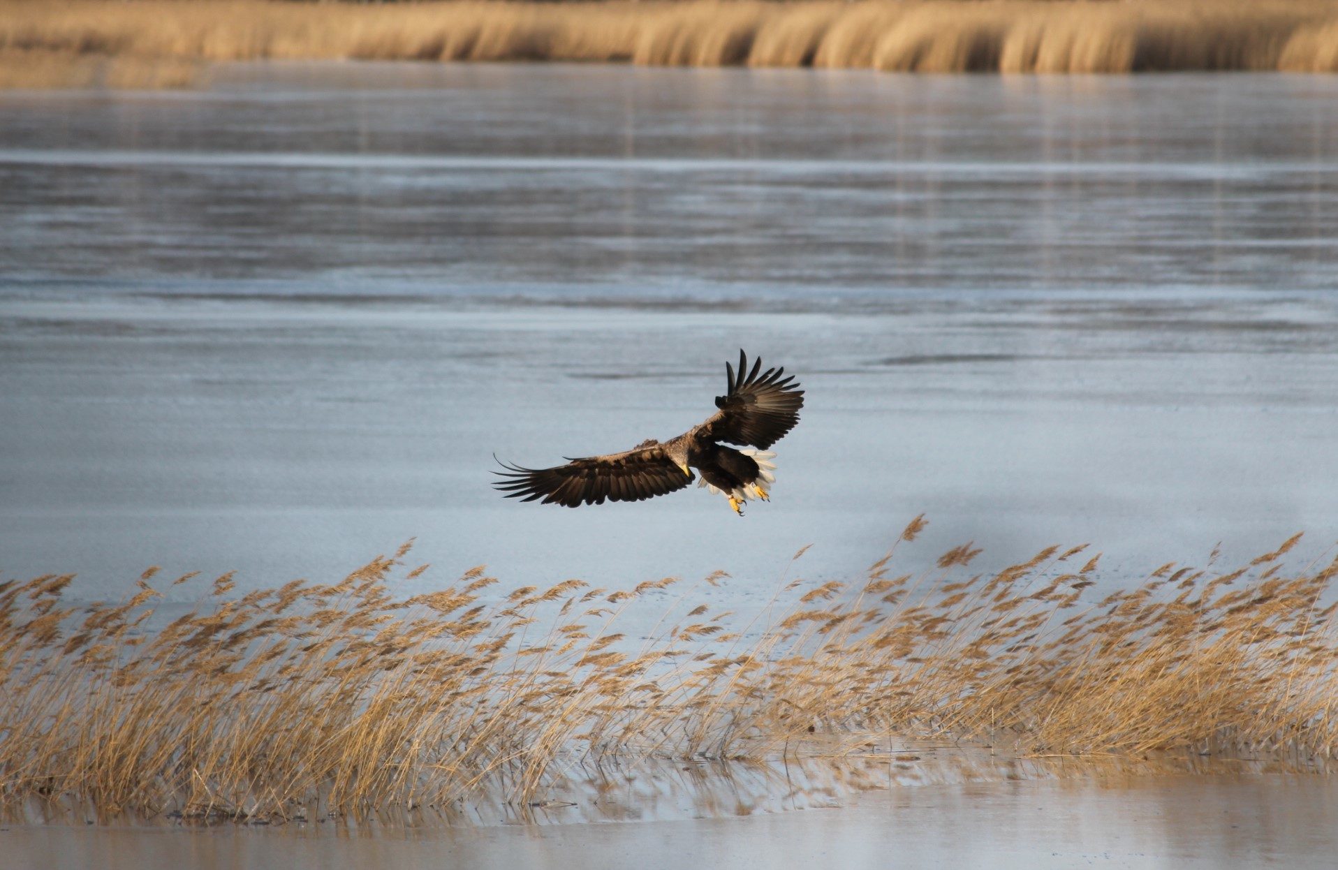 Valokuvaaja: Jaakko Eskola