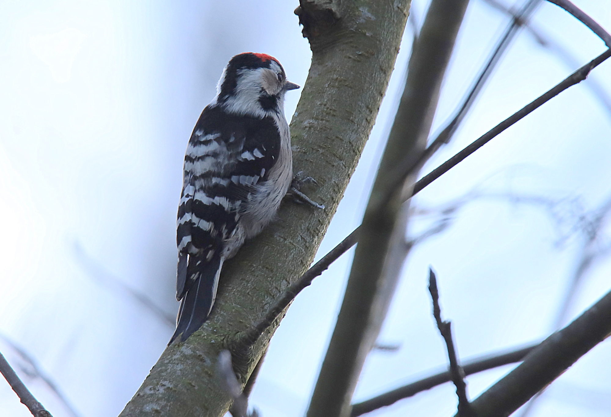 Valokuvaaja: sirpa jyske Valokuvaaja: sirpa jyske