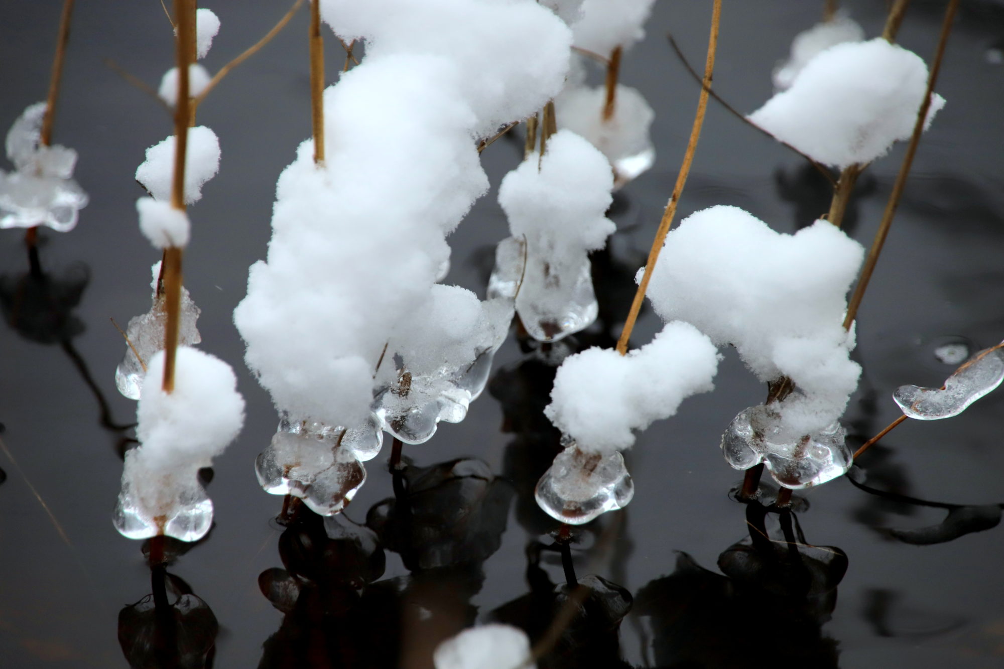 Valokuvaaja: sirpa jyske